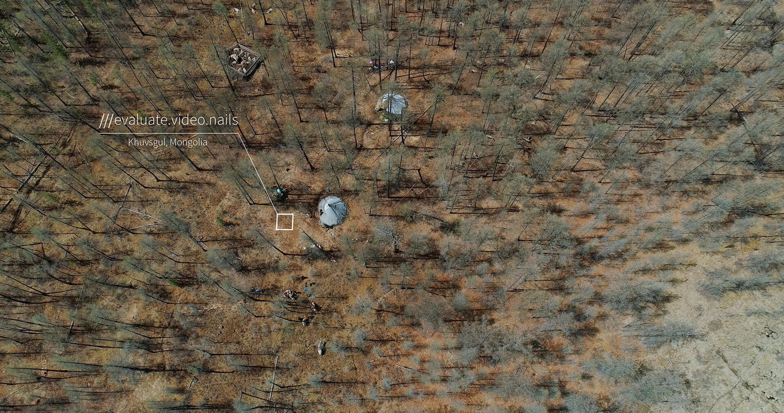 what3words x Airbnb by what3words