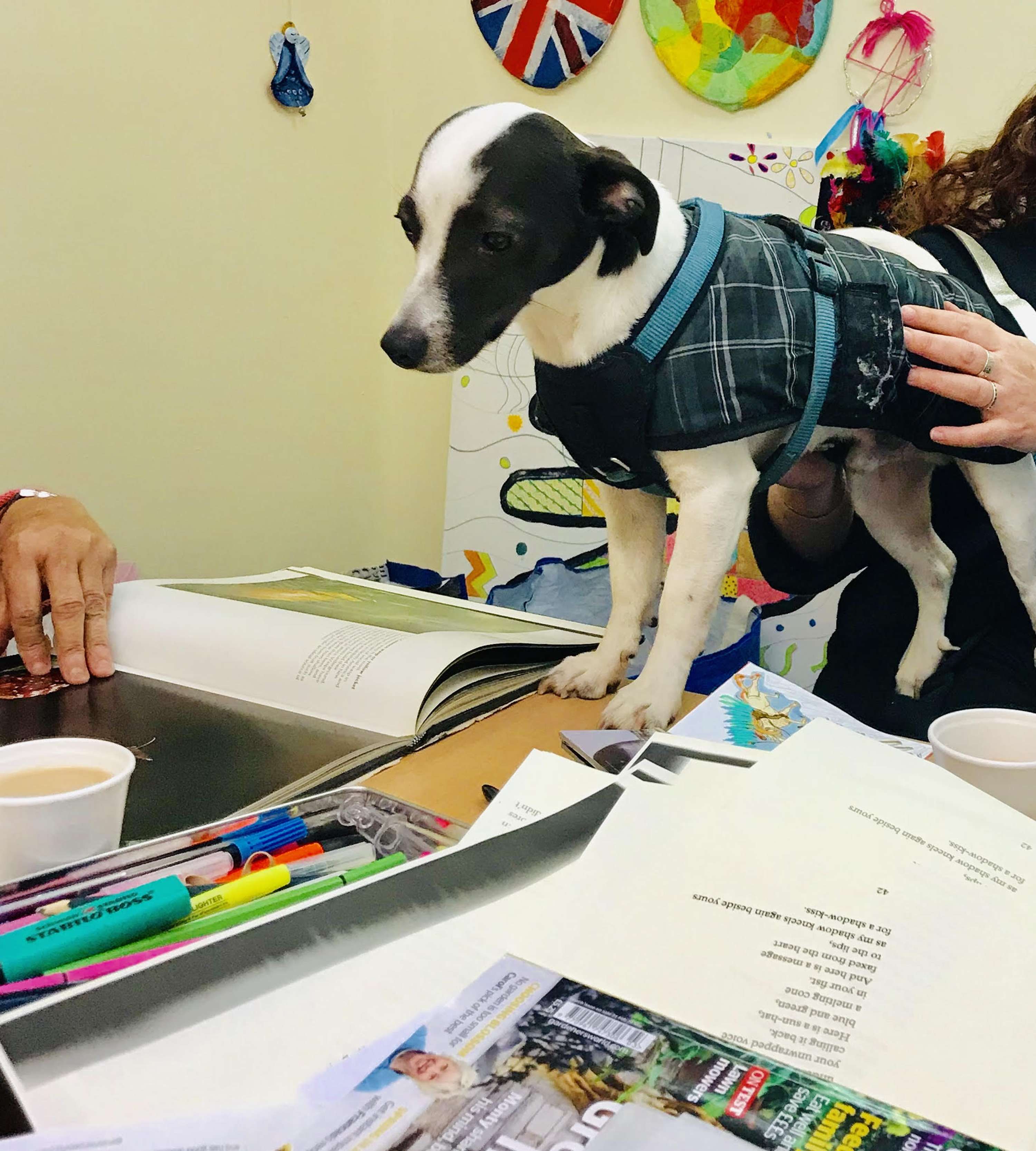 Creative Change: making connections through creativity and conversation by Pip Rowson