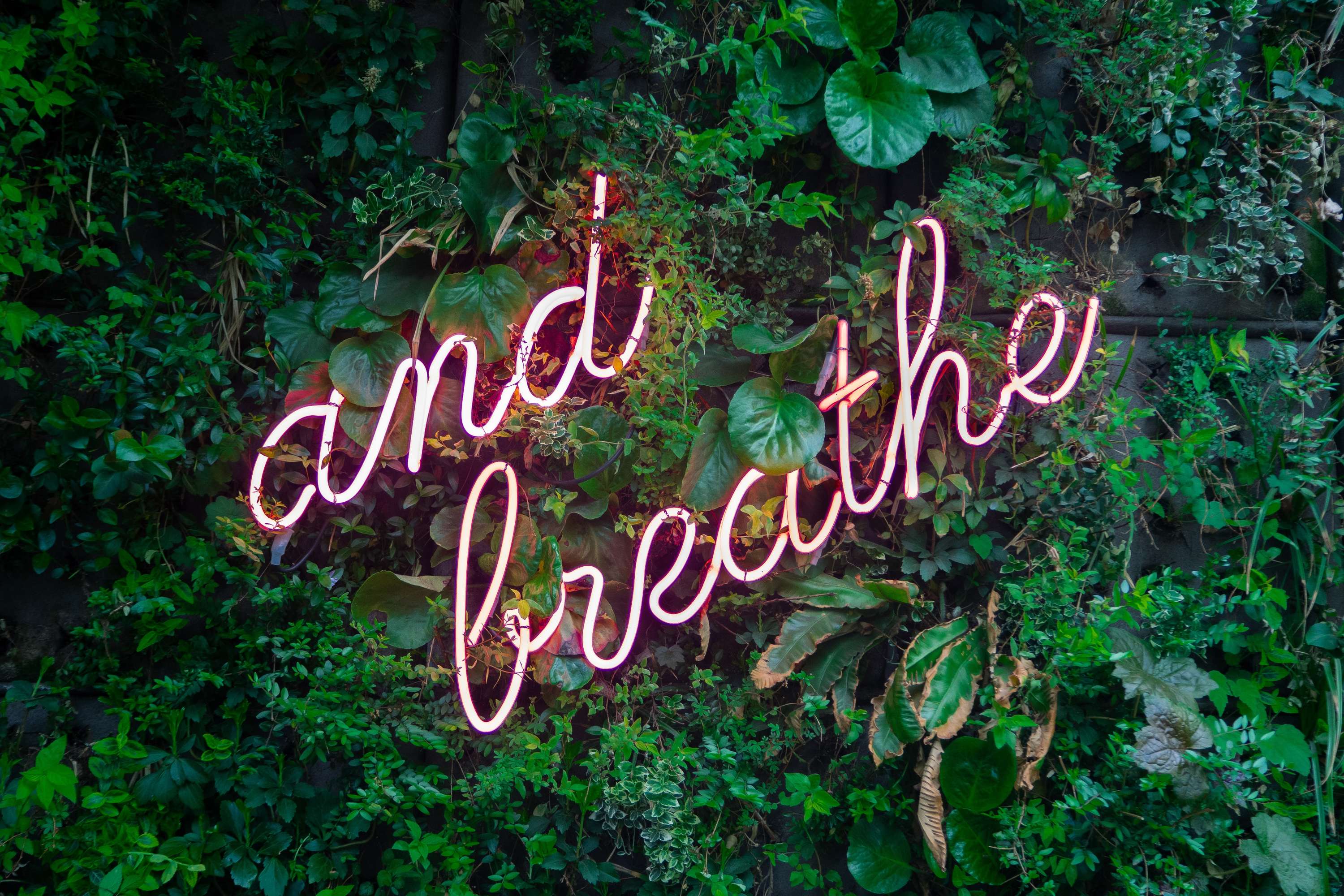 Free Event: Reduce Anxiety & Increase Focus by General Assembly
