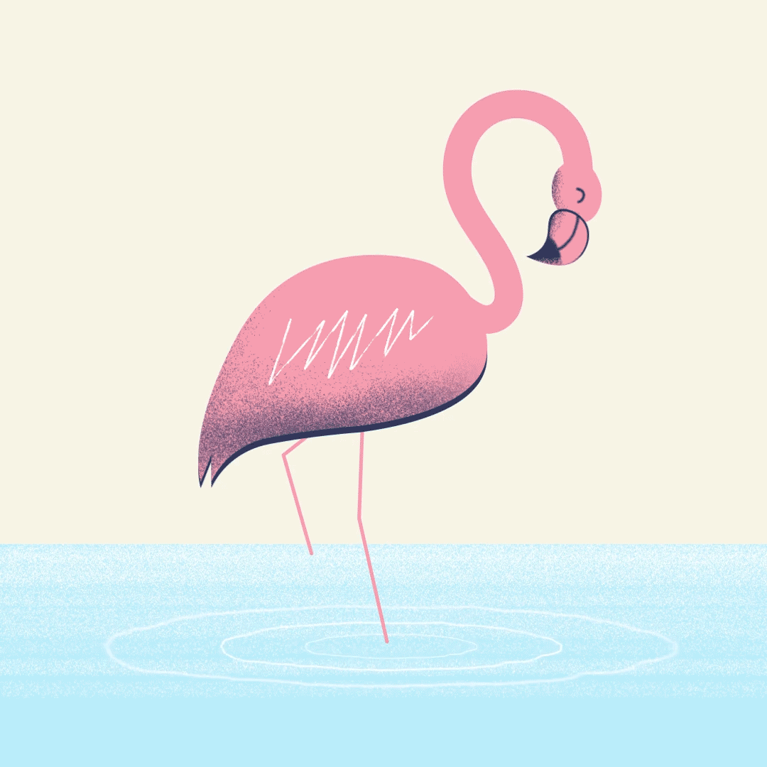 Motion Graphics by Jack Donegan