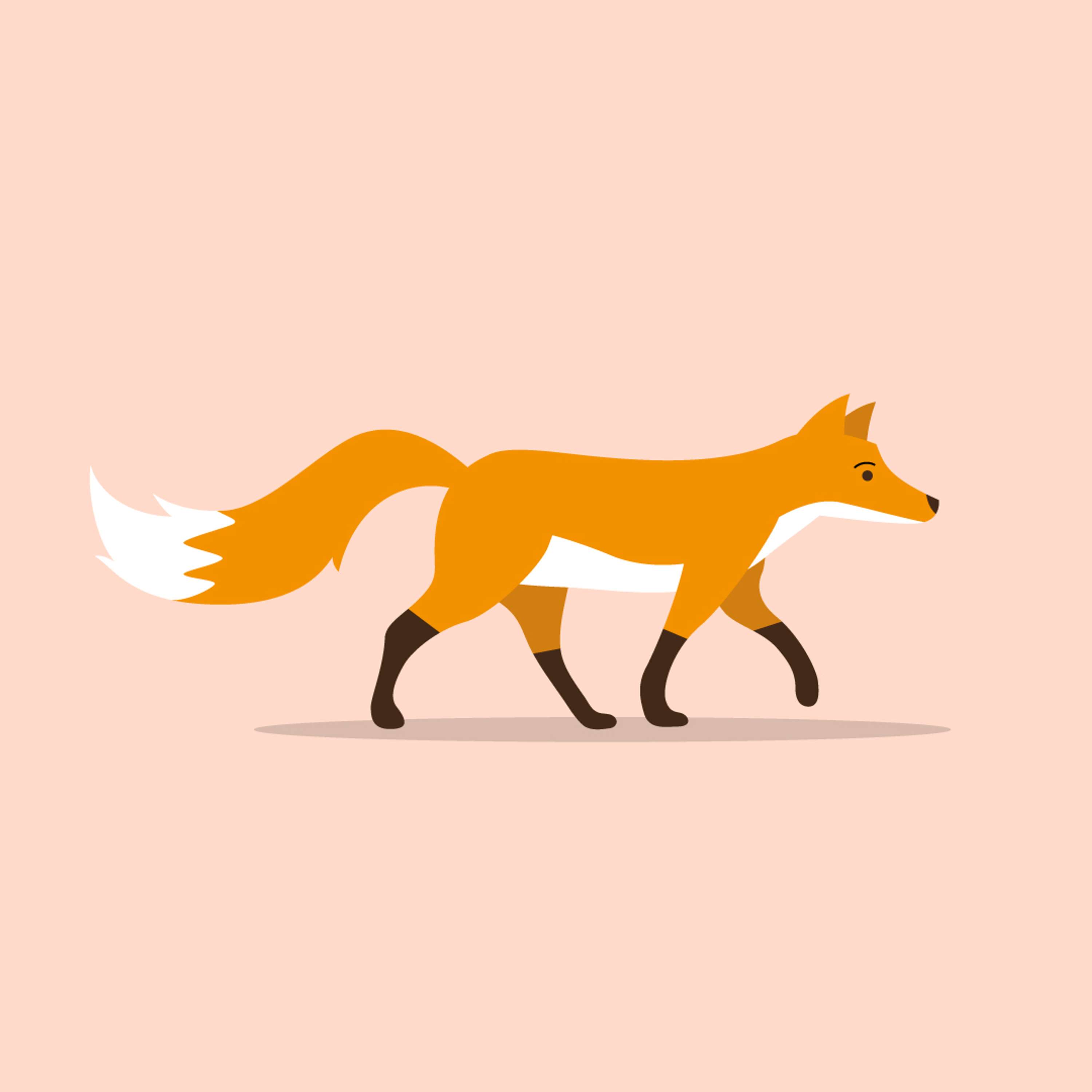 Motion Graphics by Jack Donegan