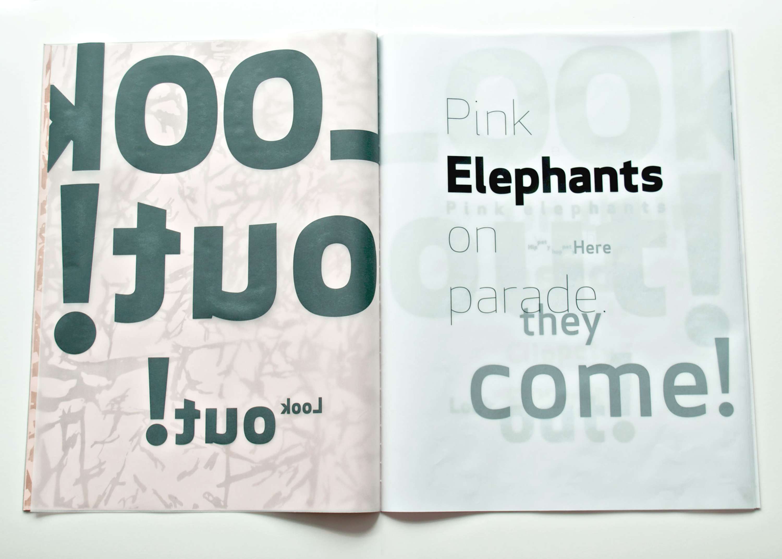 Pink Elephants by Sarah Kettle