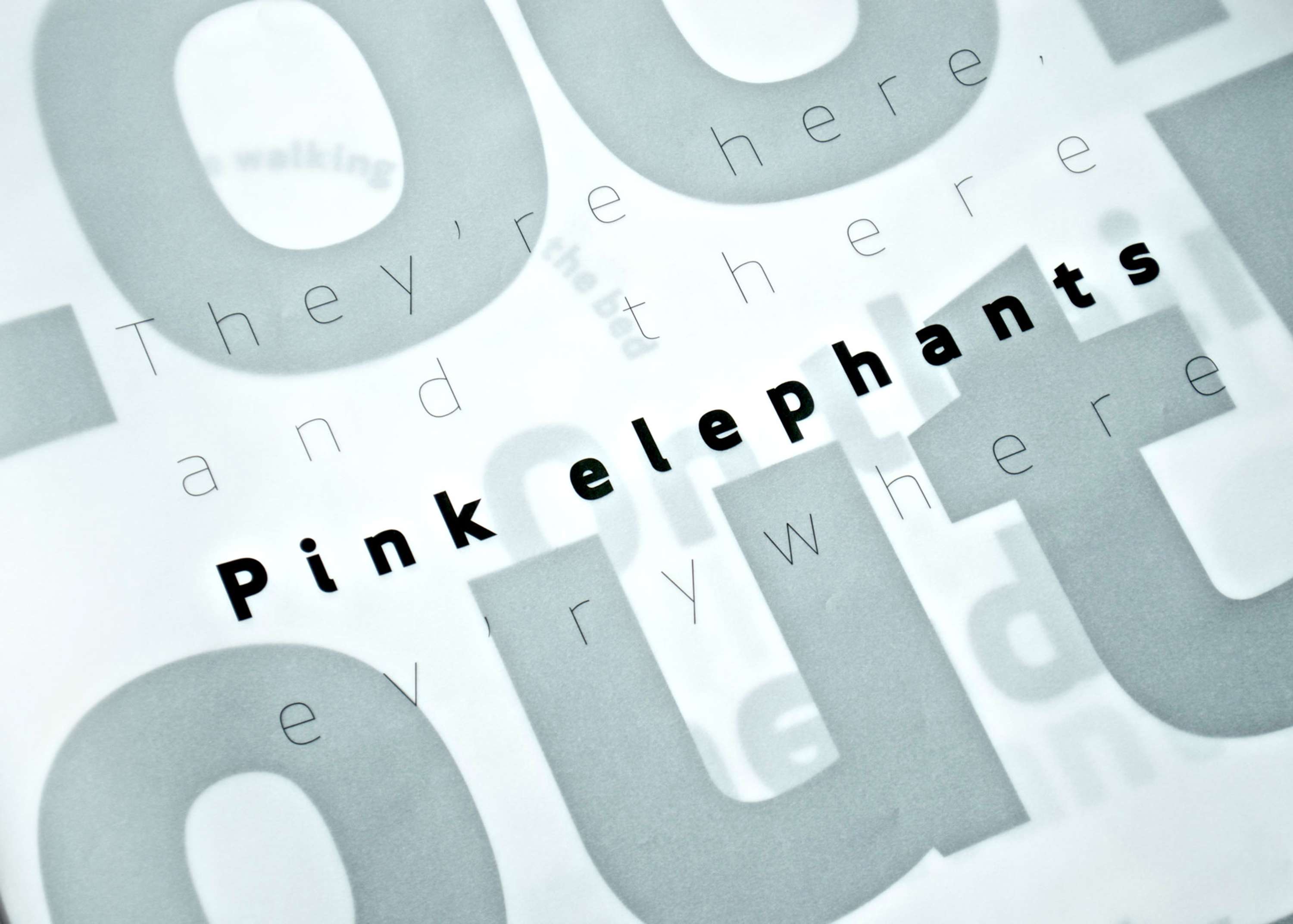 Pink Elephants by Sarah Kettle