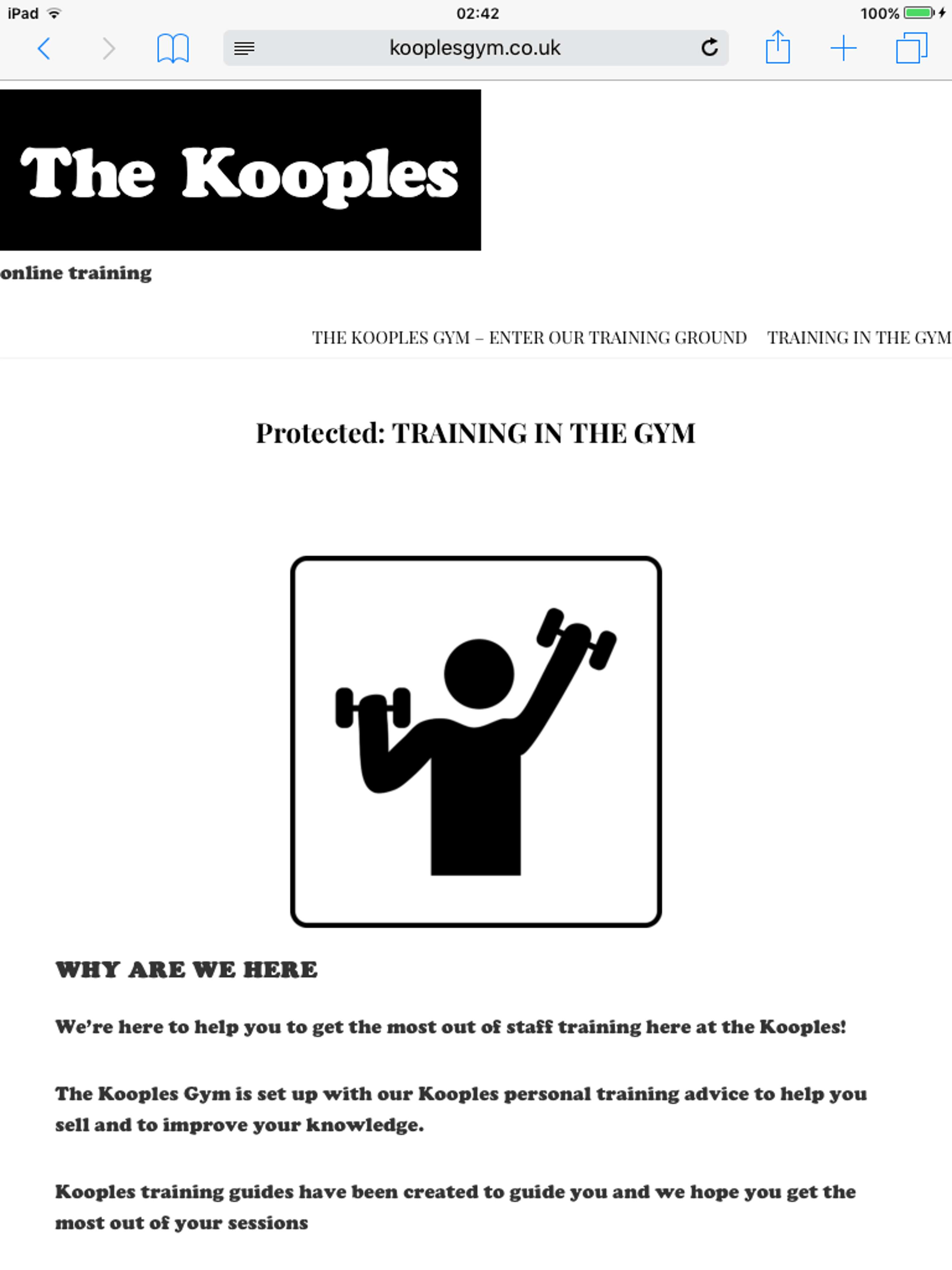 The Kooples - Website, Training Materials - Copy, Concept and Development by Lisa Victoria