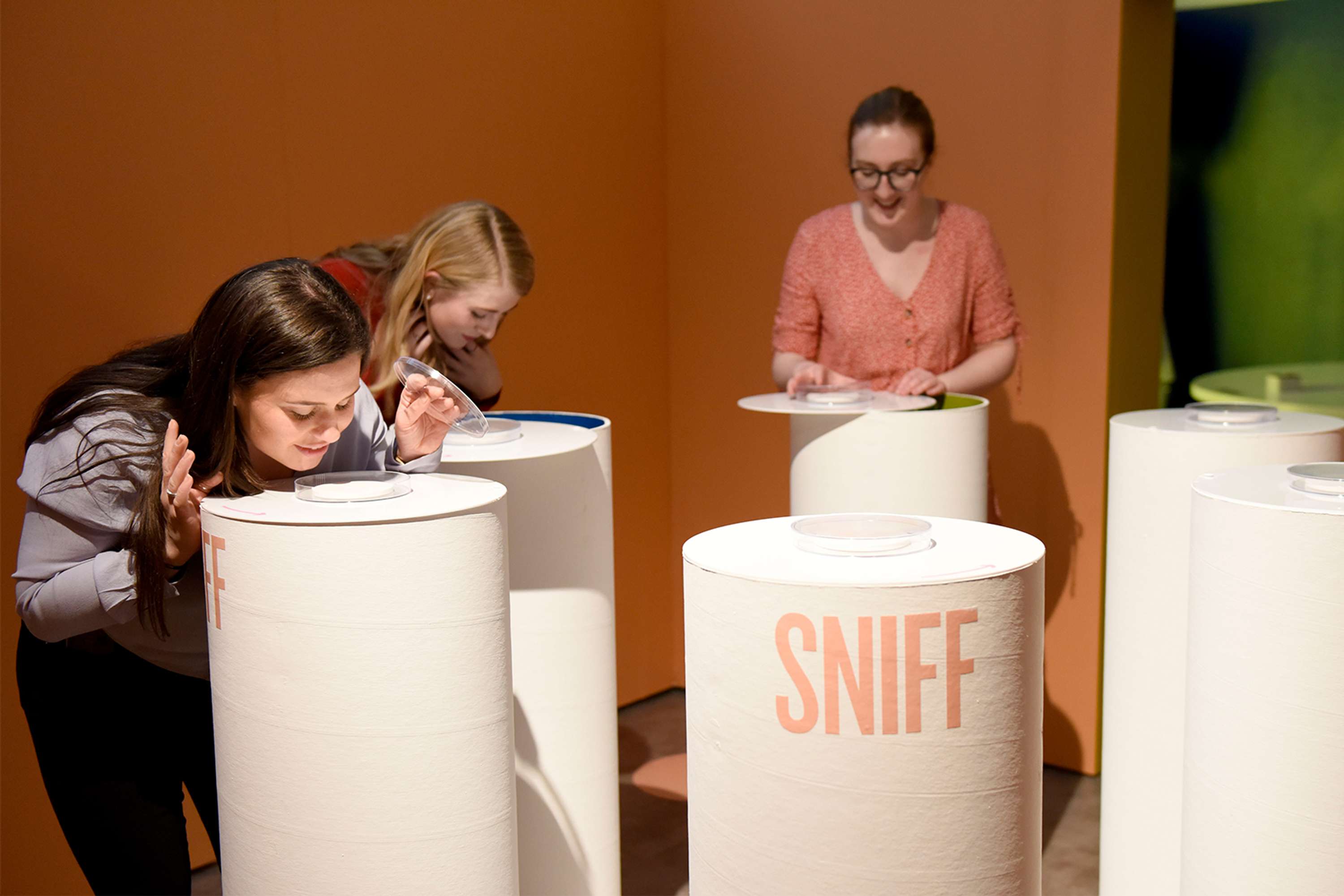 Institute of Primal Colour, Bompas & Parr by Stephanie Williams