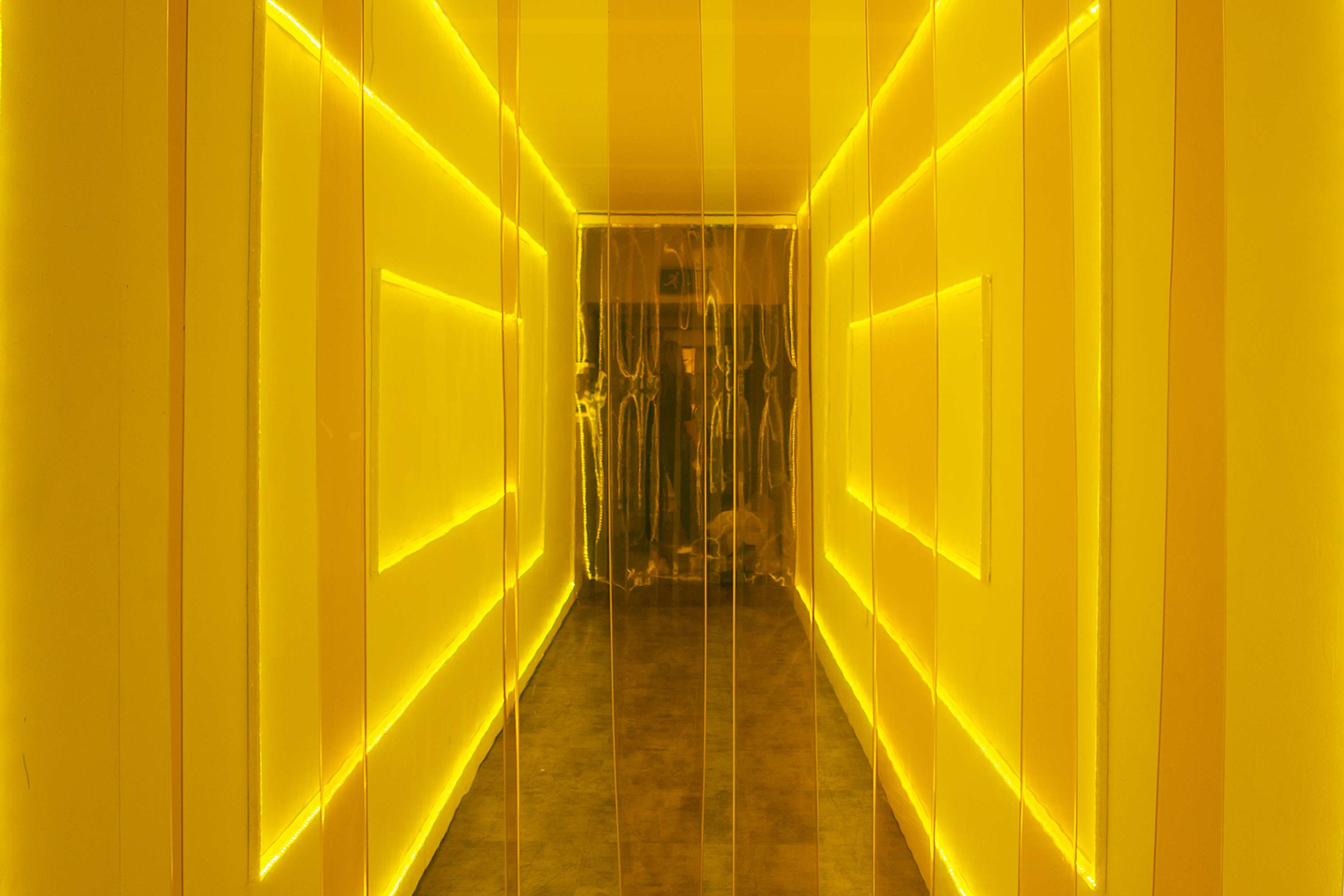 Institute of Primal Colour, Bompas & Parr by Stephanie Williams