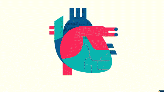 Benecol by DAZZLE SHIP™