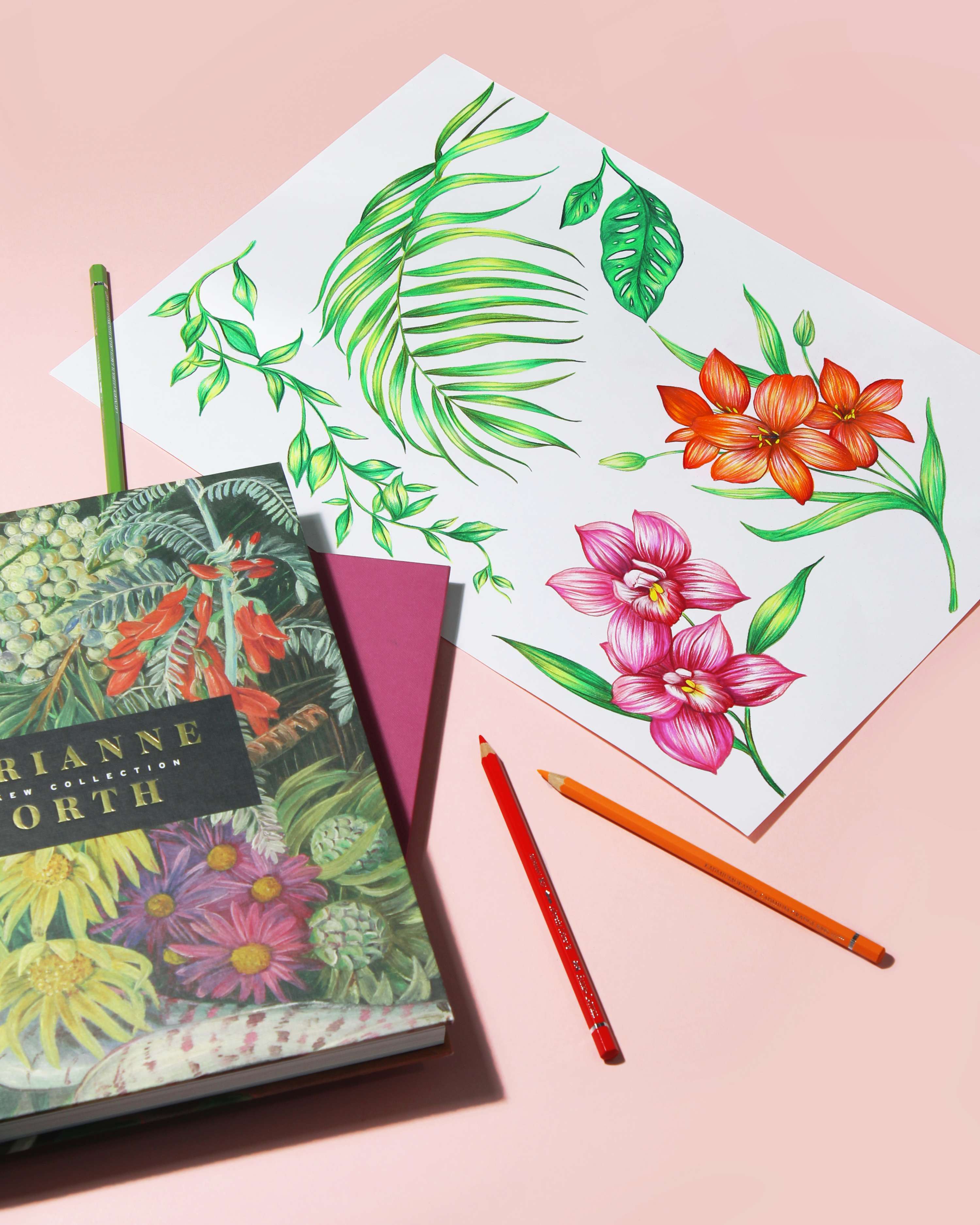 Website Redesign by Frances Shaw
