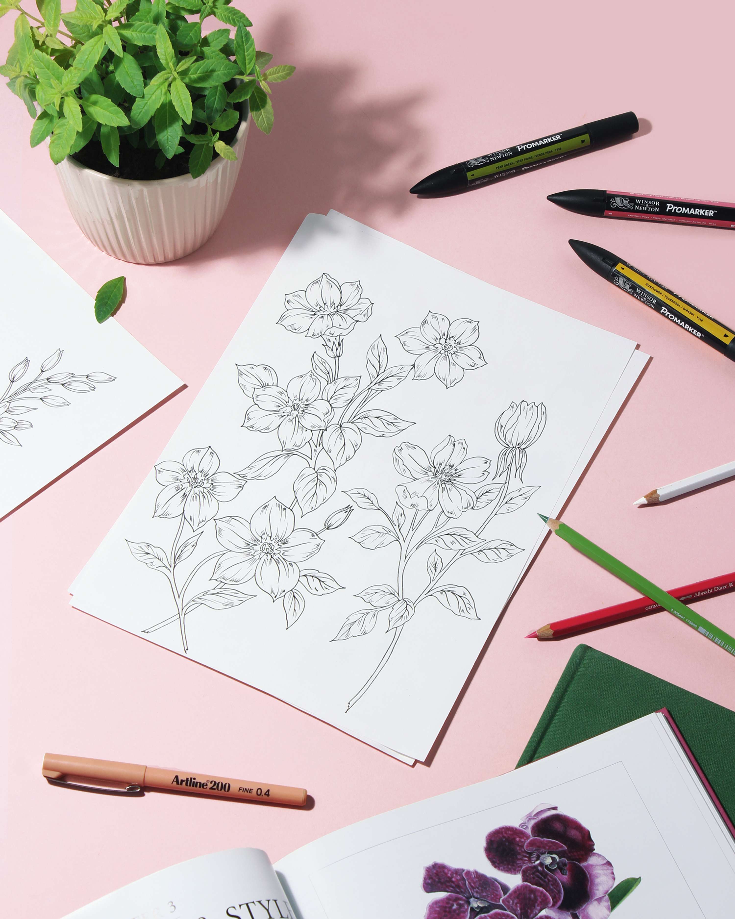 Website Redesign by Frances Shaw