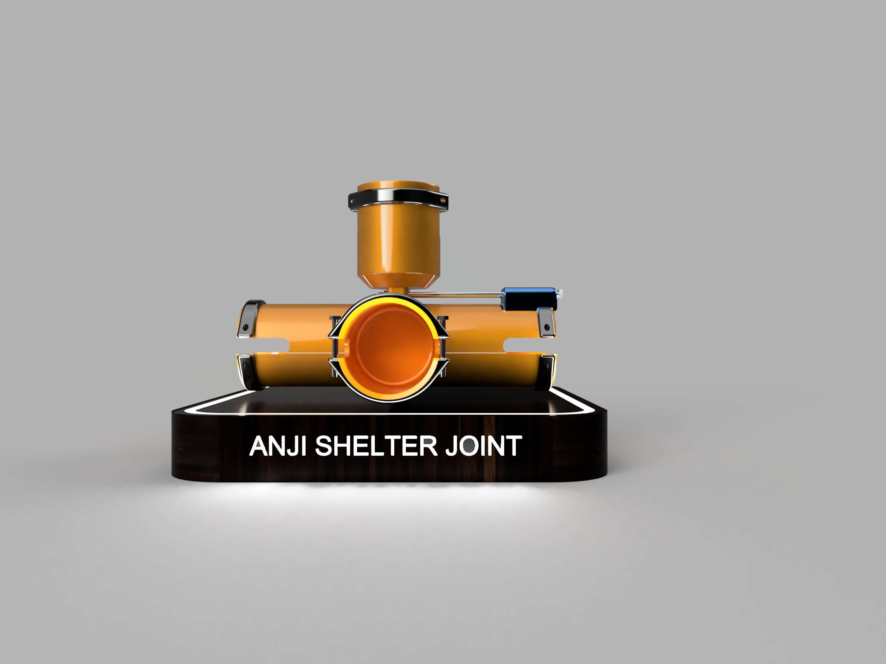 PROJECT ANJI by Tanaka Bofu