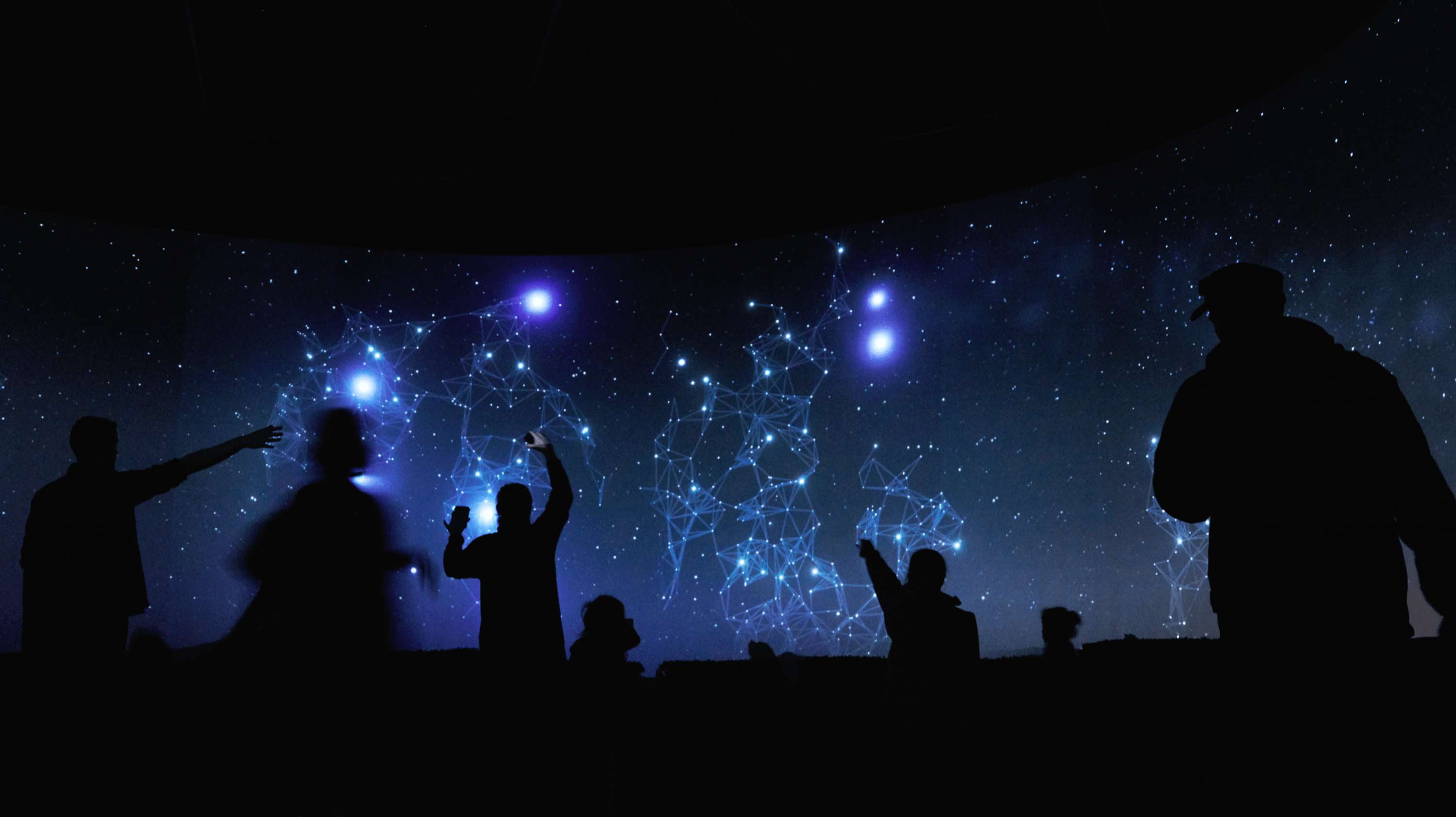 Auckland Zoo Matariki by PHANTOM