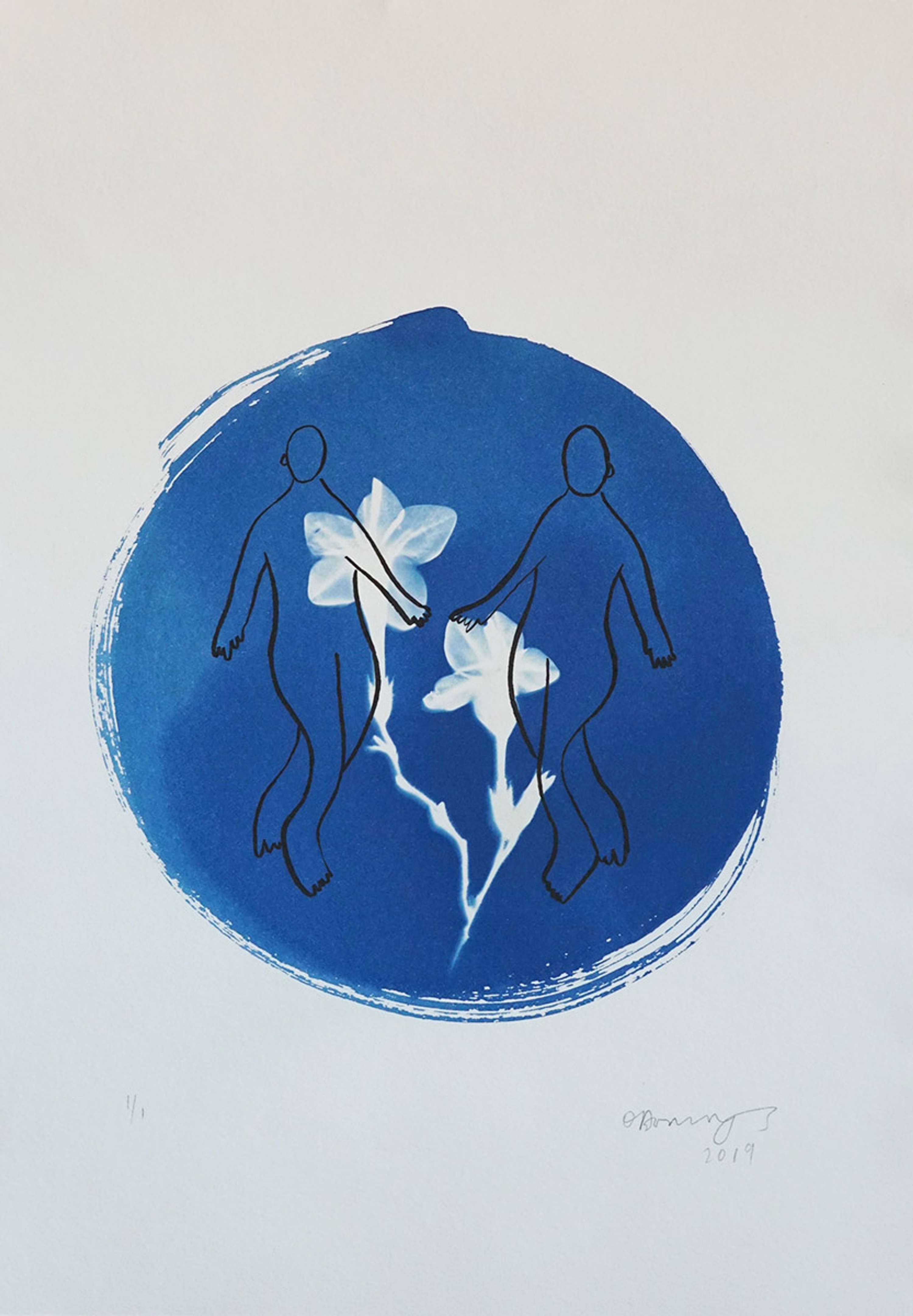 Cyanotypes - an ongoing personal project by Olivia Domingos