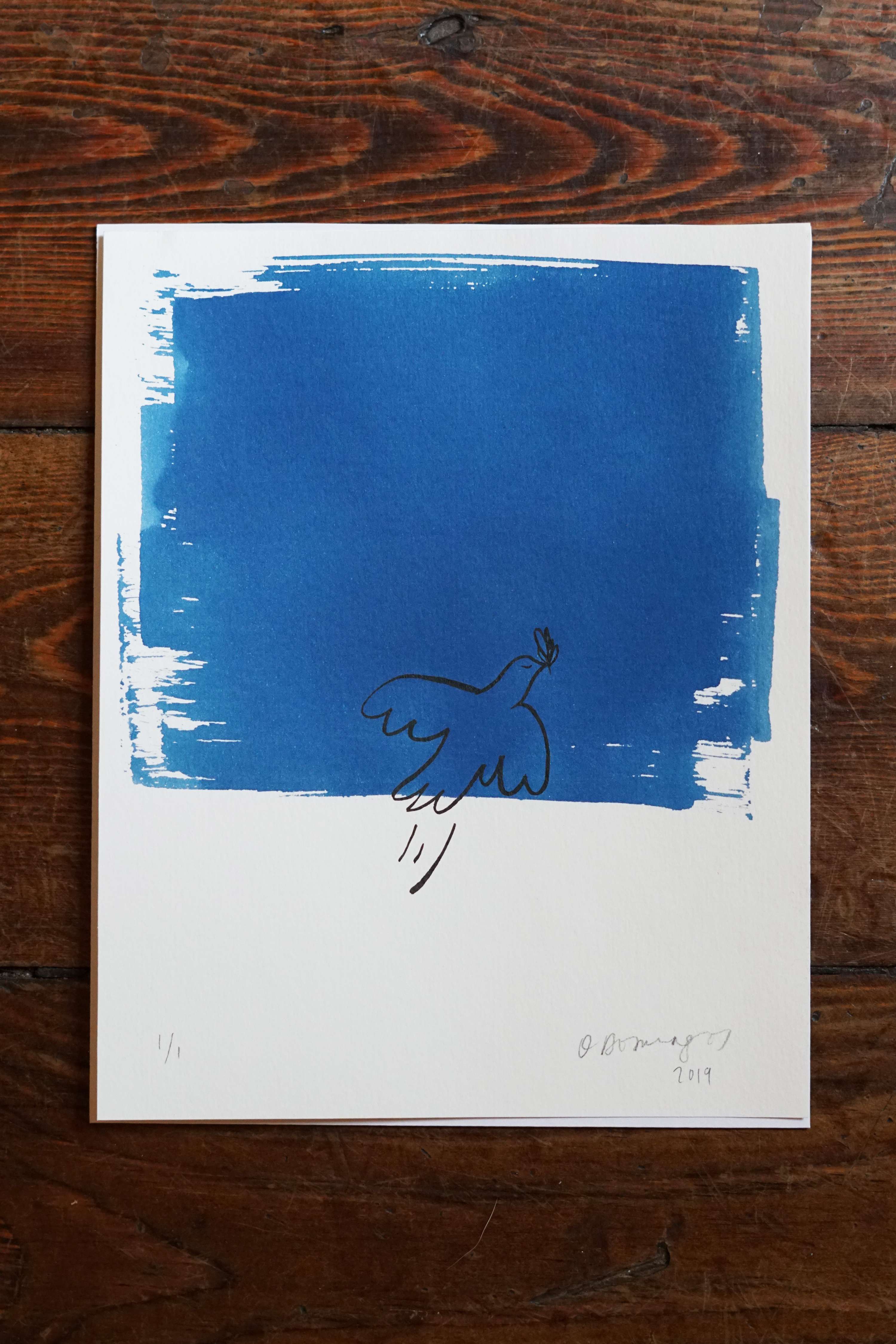Cyanotypes - an ongoing personal project by Olivia Domingos