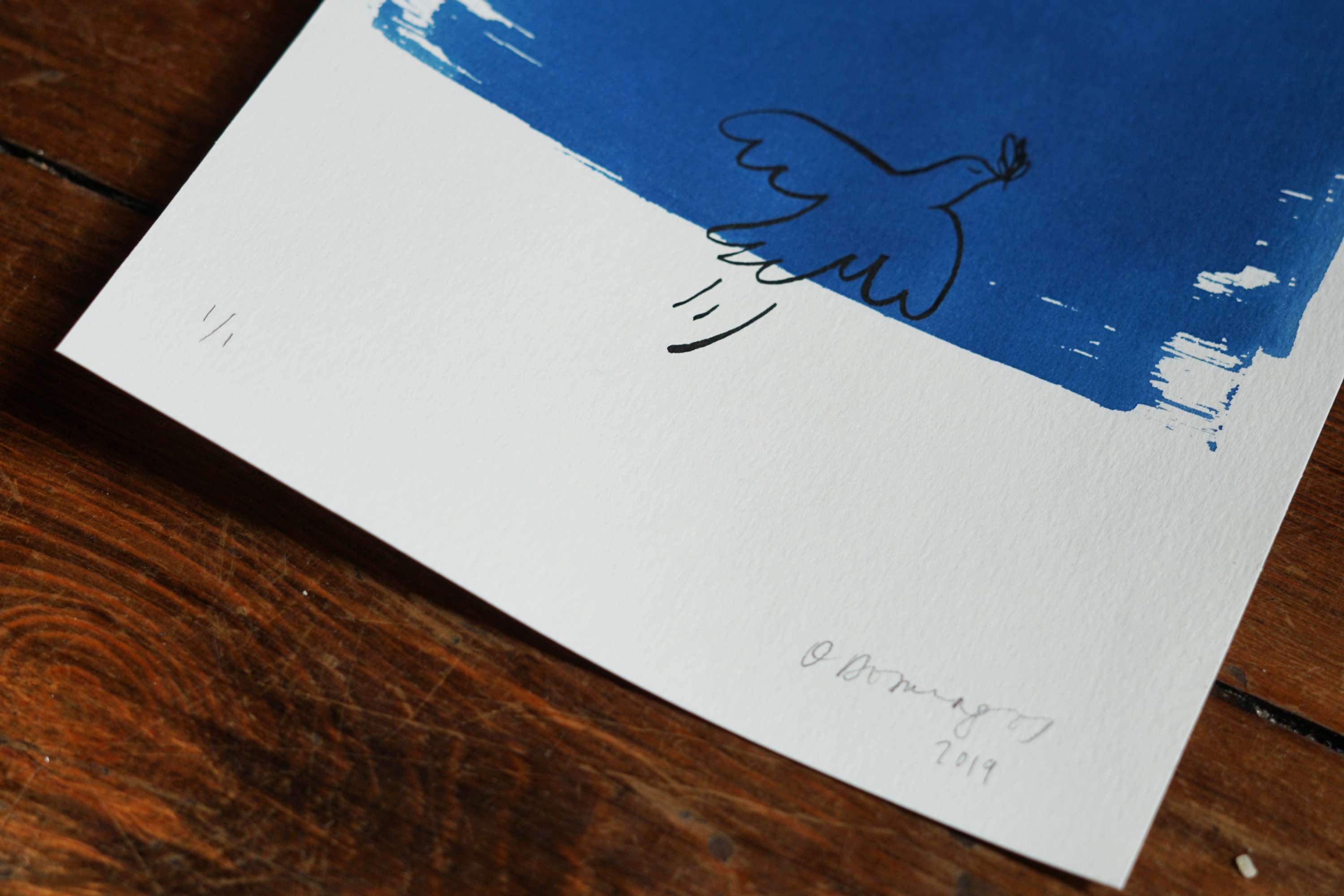 Cyanotypes - an ongoing personal project by Olivia Domingos