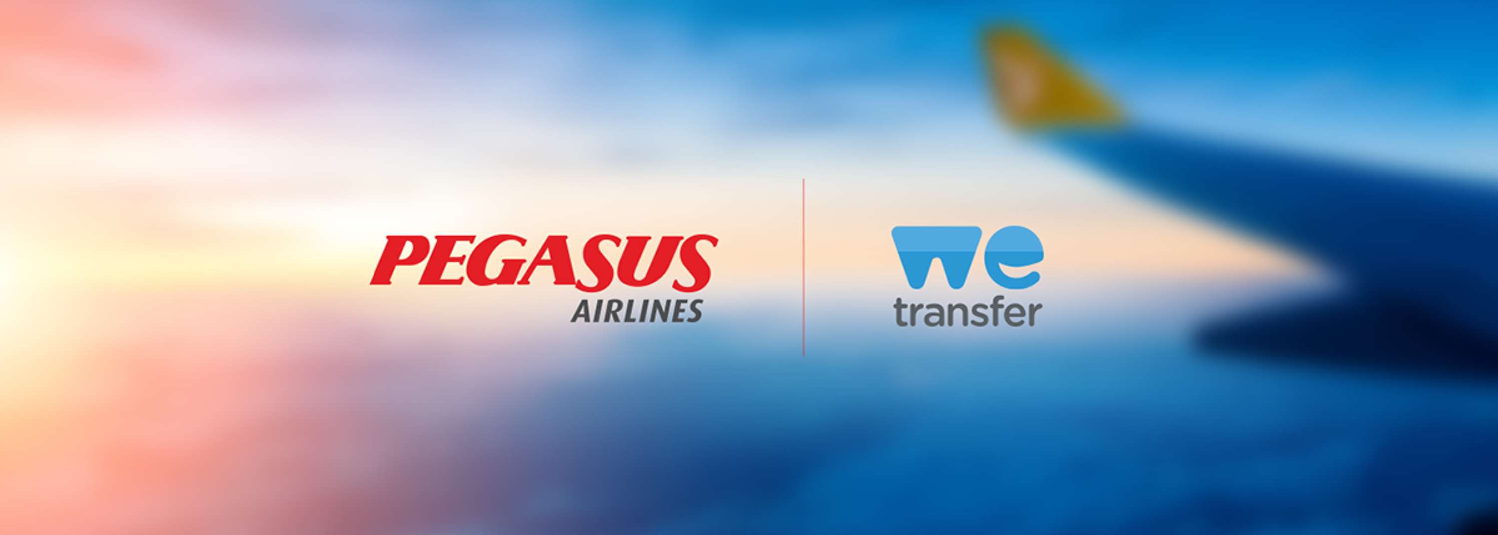 PEGASUS - We(ALSO)Transfer by Dijle Tigris Ozdemir