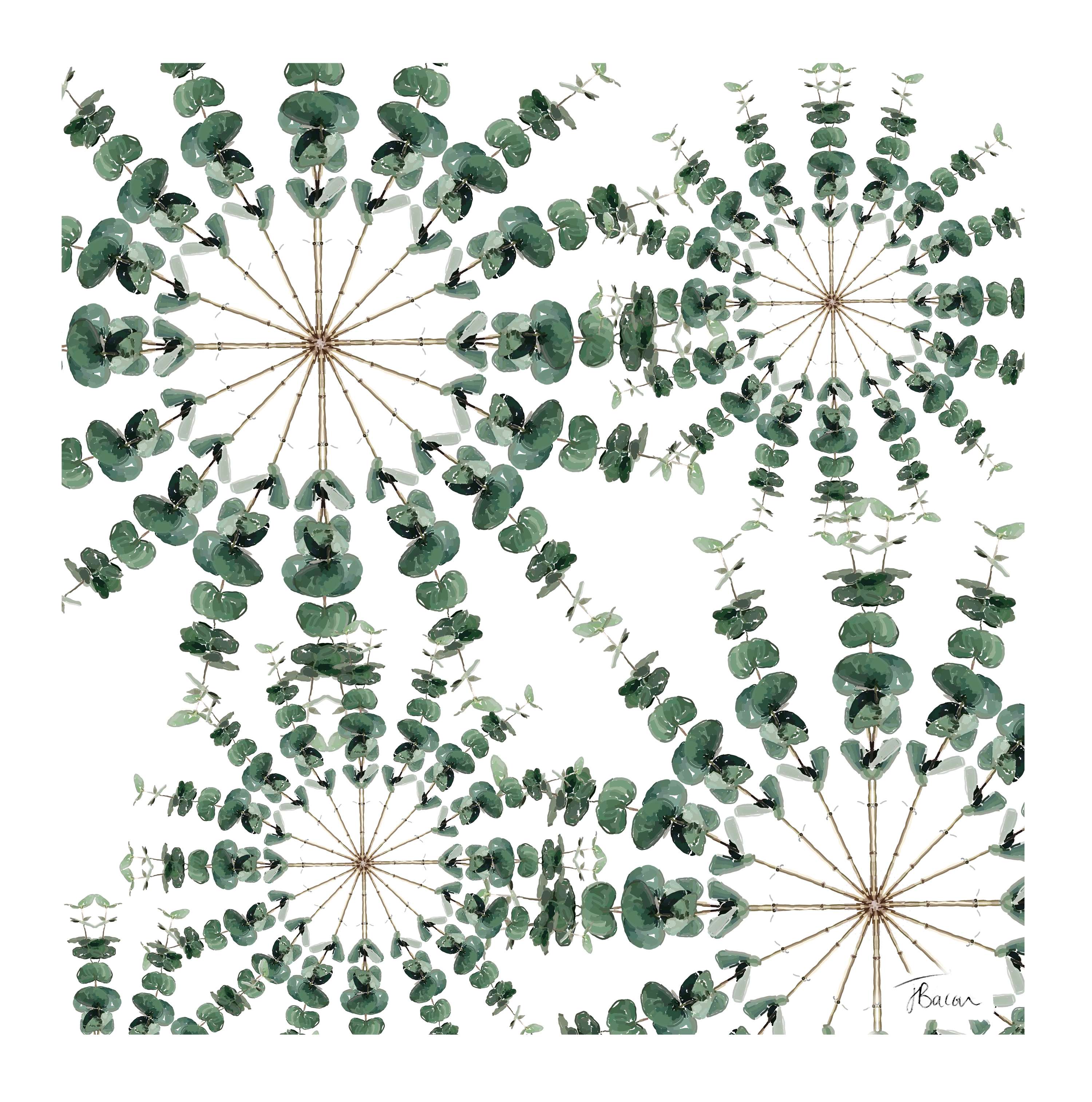 Digital Artwork for Website by Jo Bacon