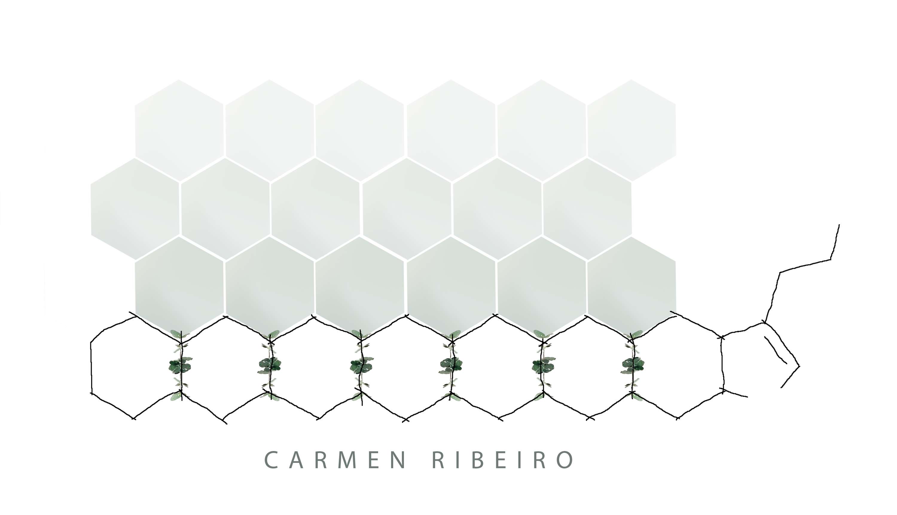Digital Artwork for Website by Jo Bacon