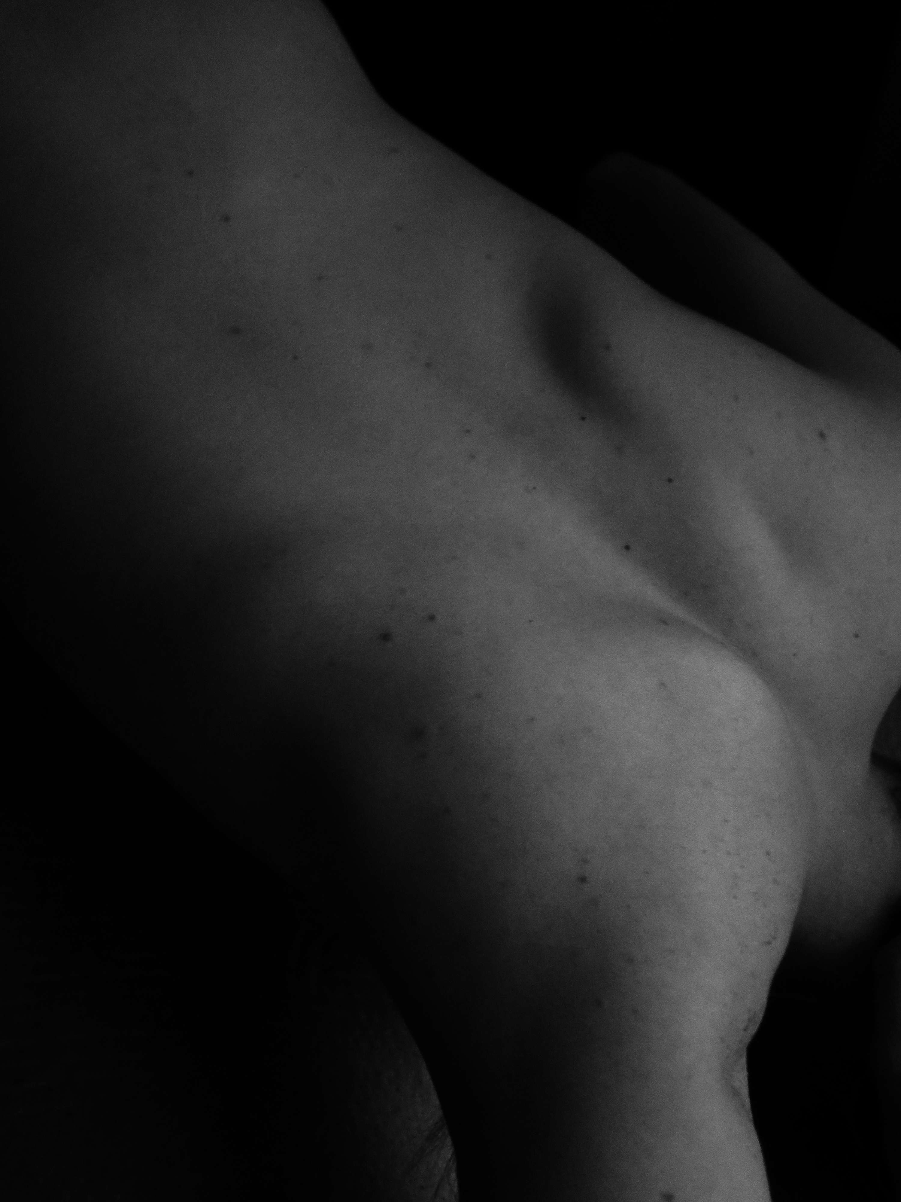 Natural Form by Erica Game