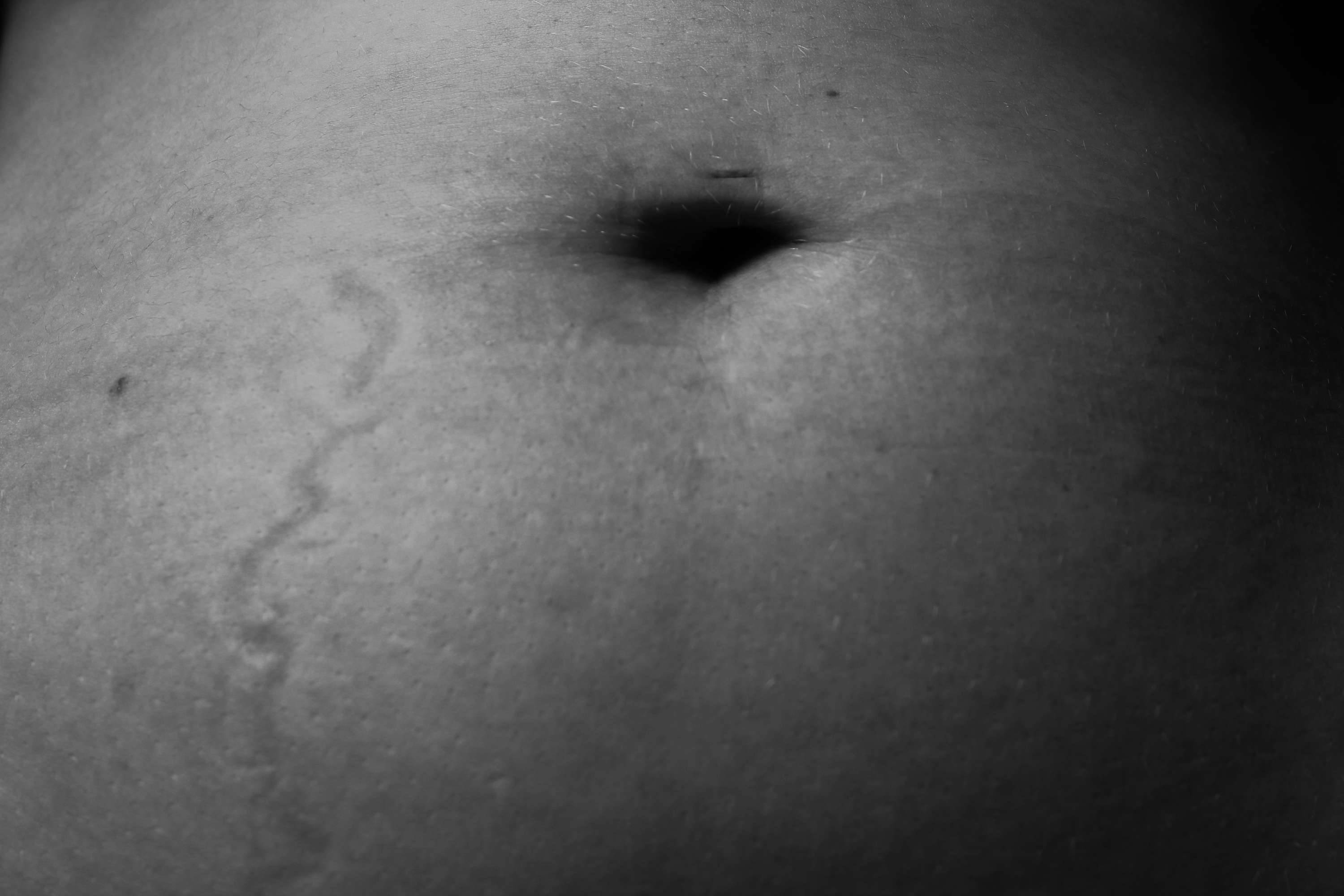 Natural Form by Erica Game