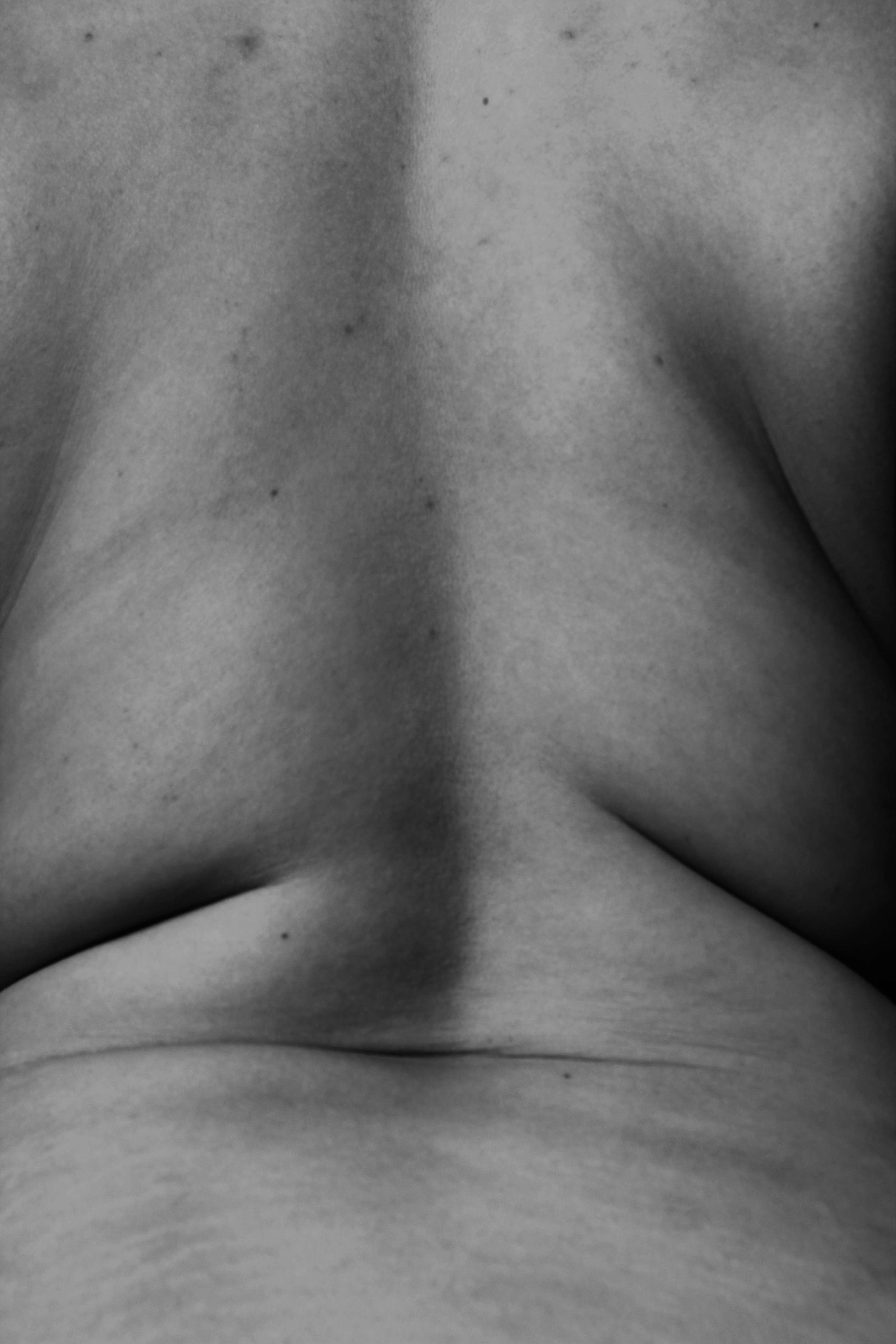 Natural Form by Erica Game