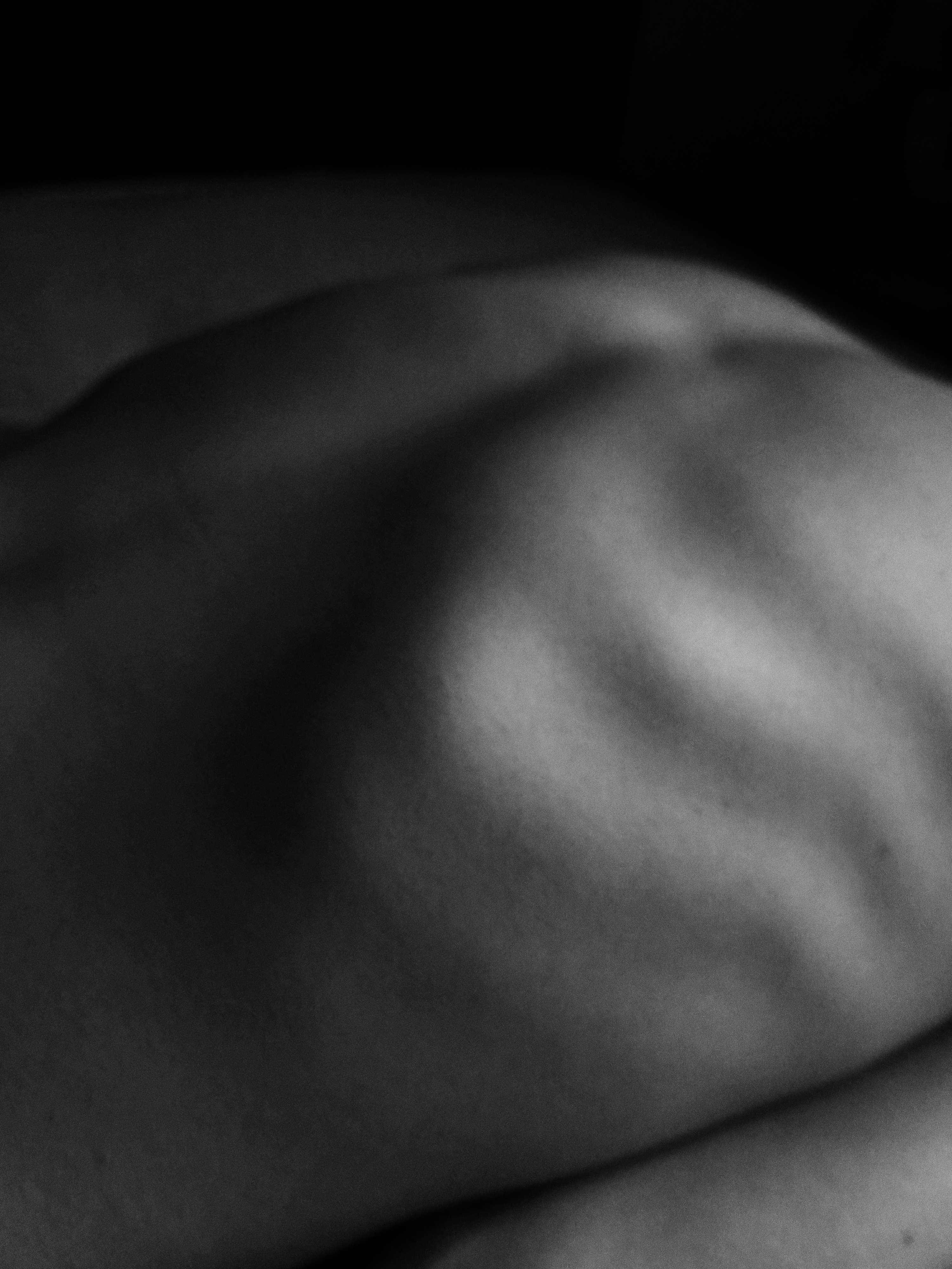 Natural Form by Erica Game