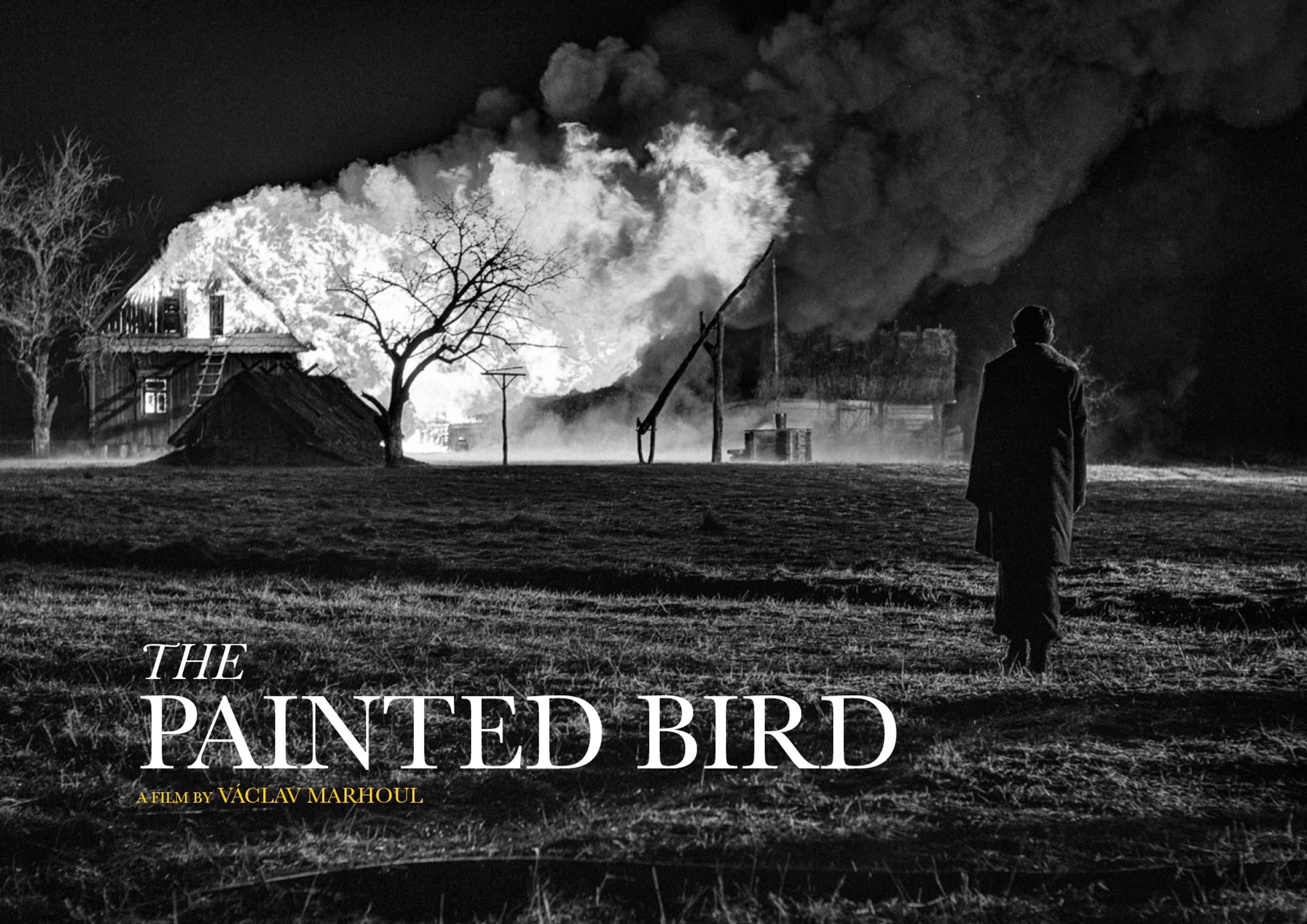 The Painted Bird by Phil Dickinson