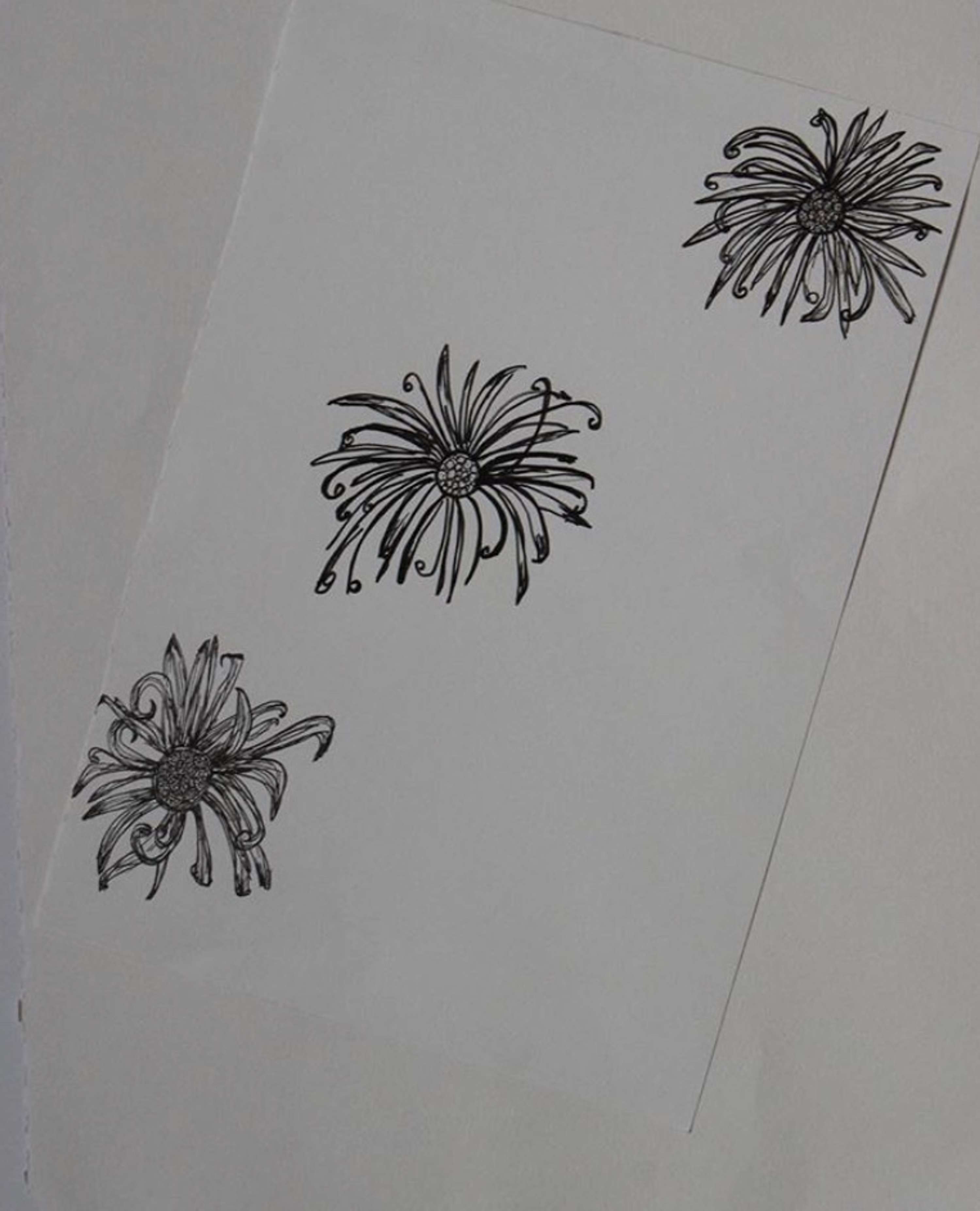The Kew Garden Project by Nicola-Amy Thomas