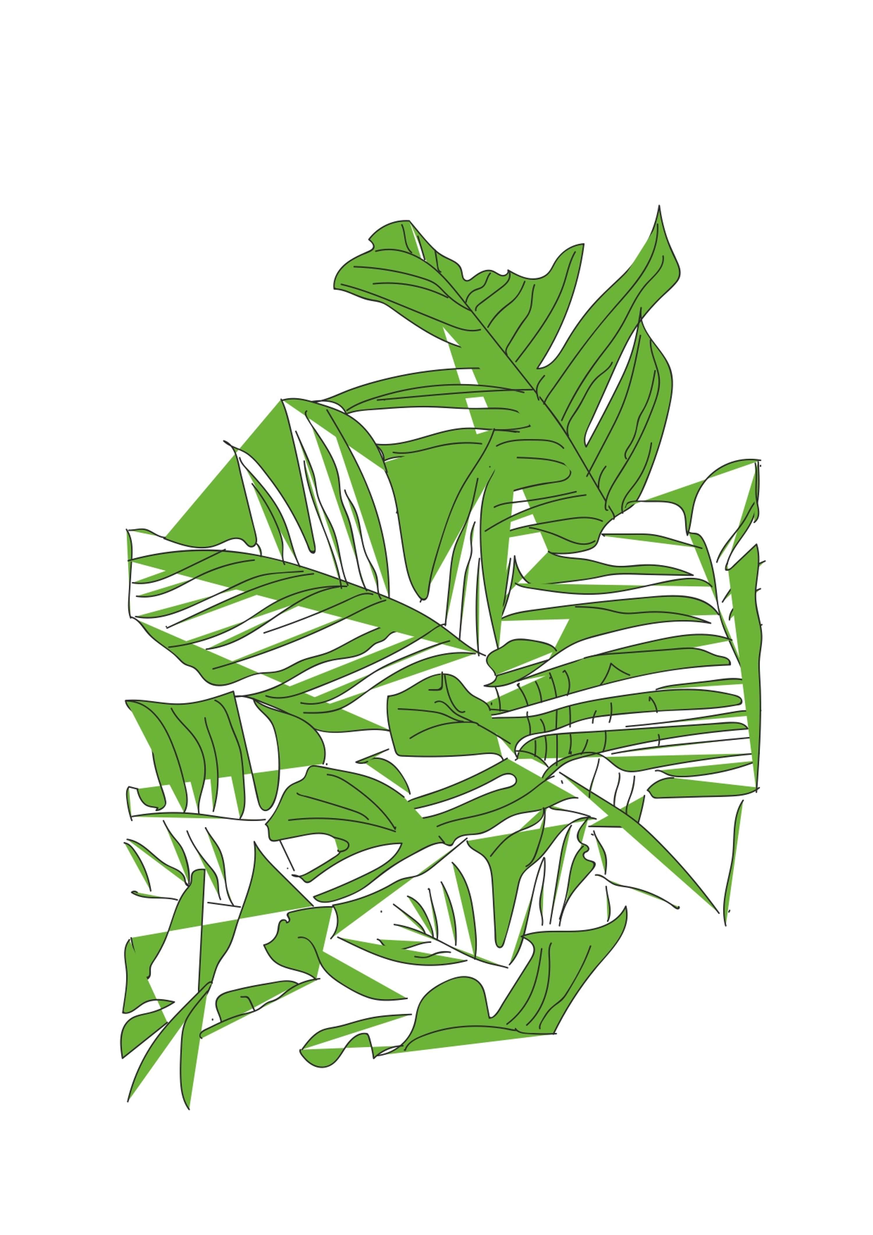 The Kew Garden Project by Nicola-Amy Thomas