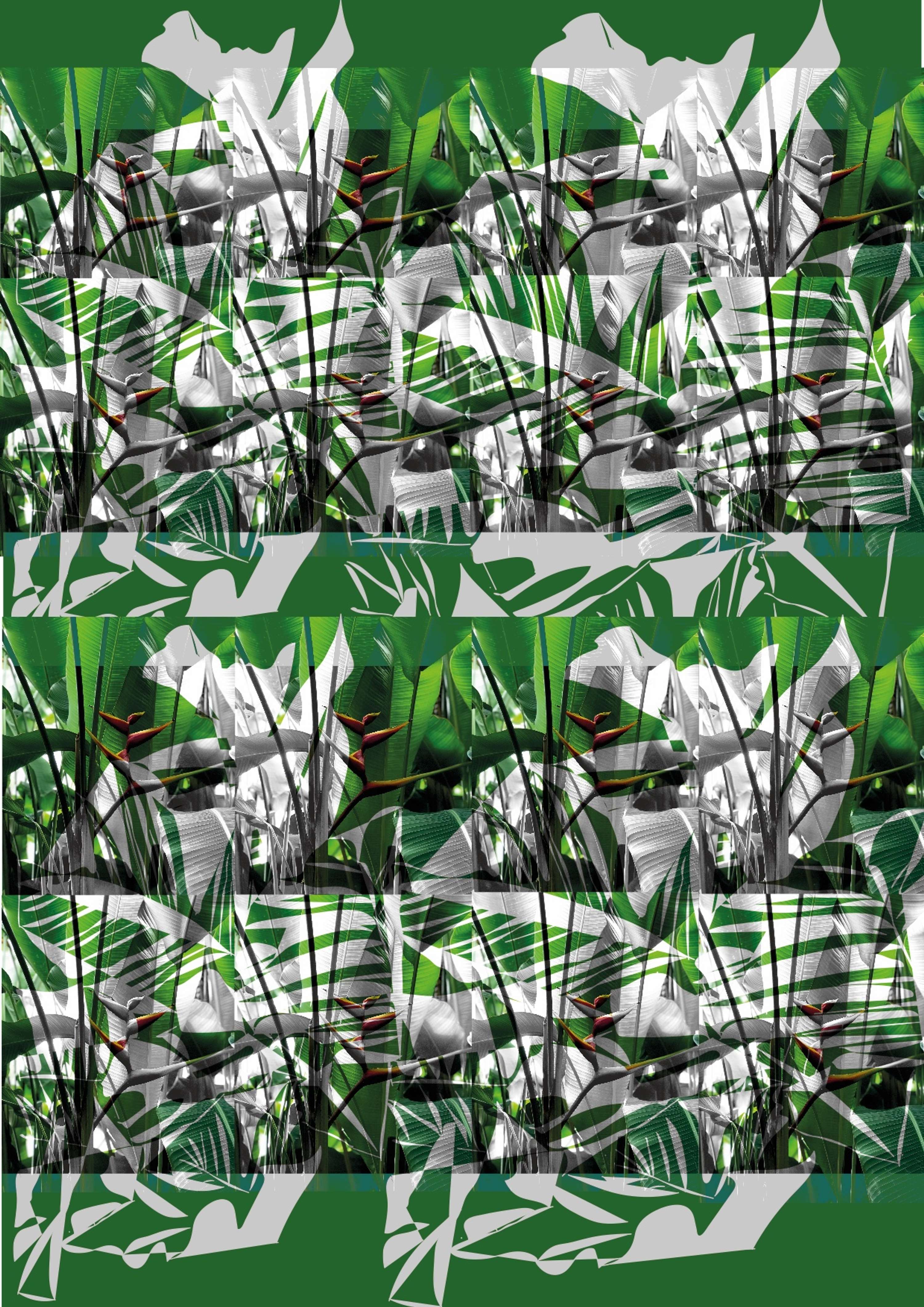 The Kew Garden Project by Nicola-Amy Thomas