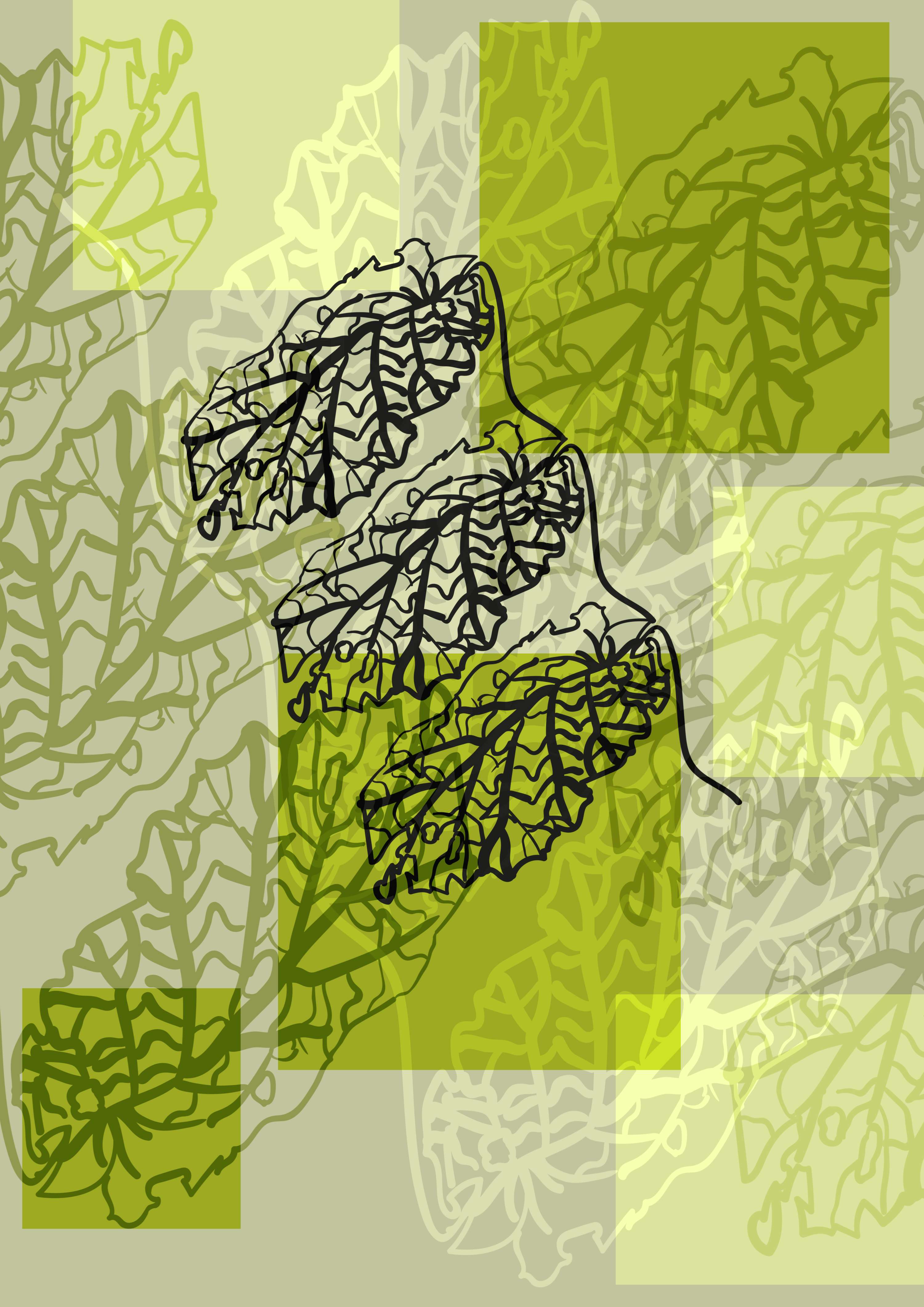 The Kew Garden Project by Nicola-Amy Thomas