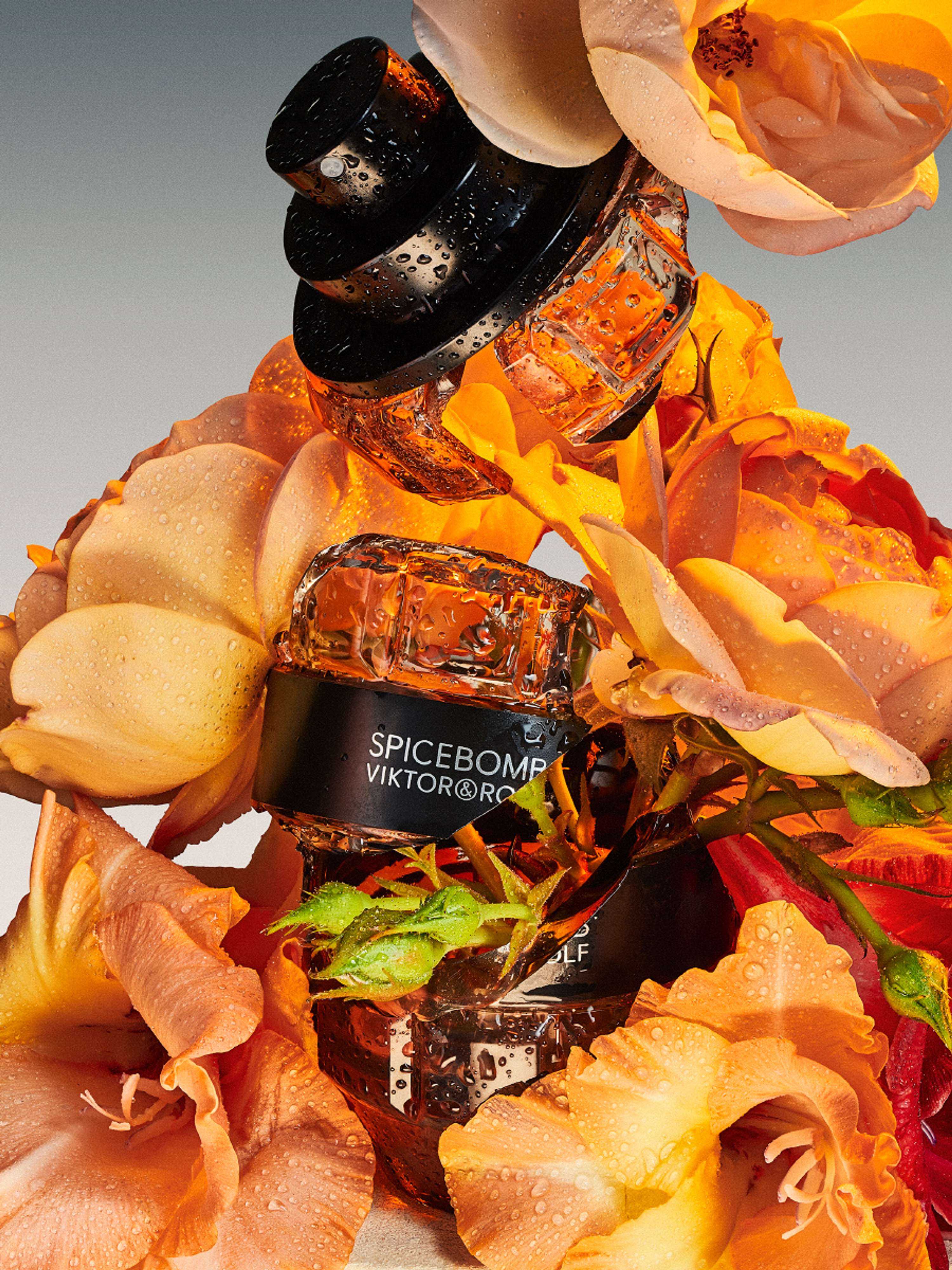 SPICEBOMB by Ollie Porter