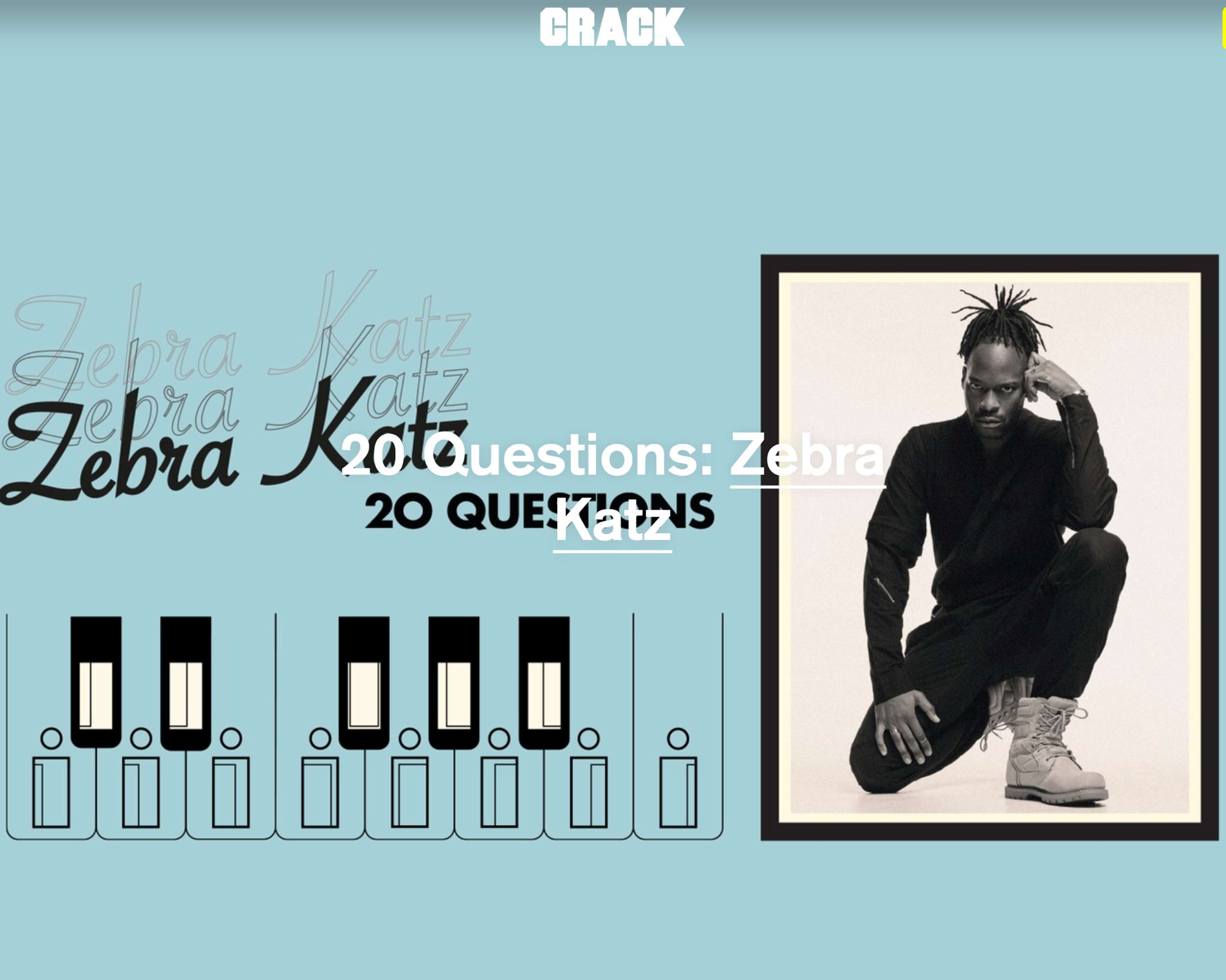 Zebra Katz: 20 Questions by Costanza C