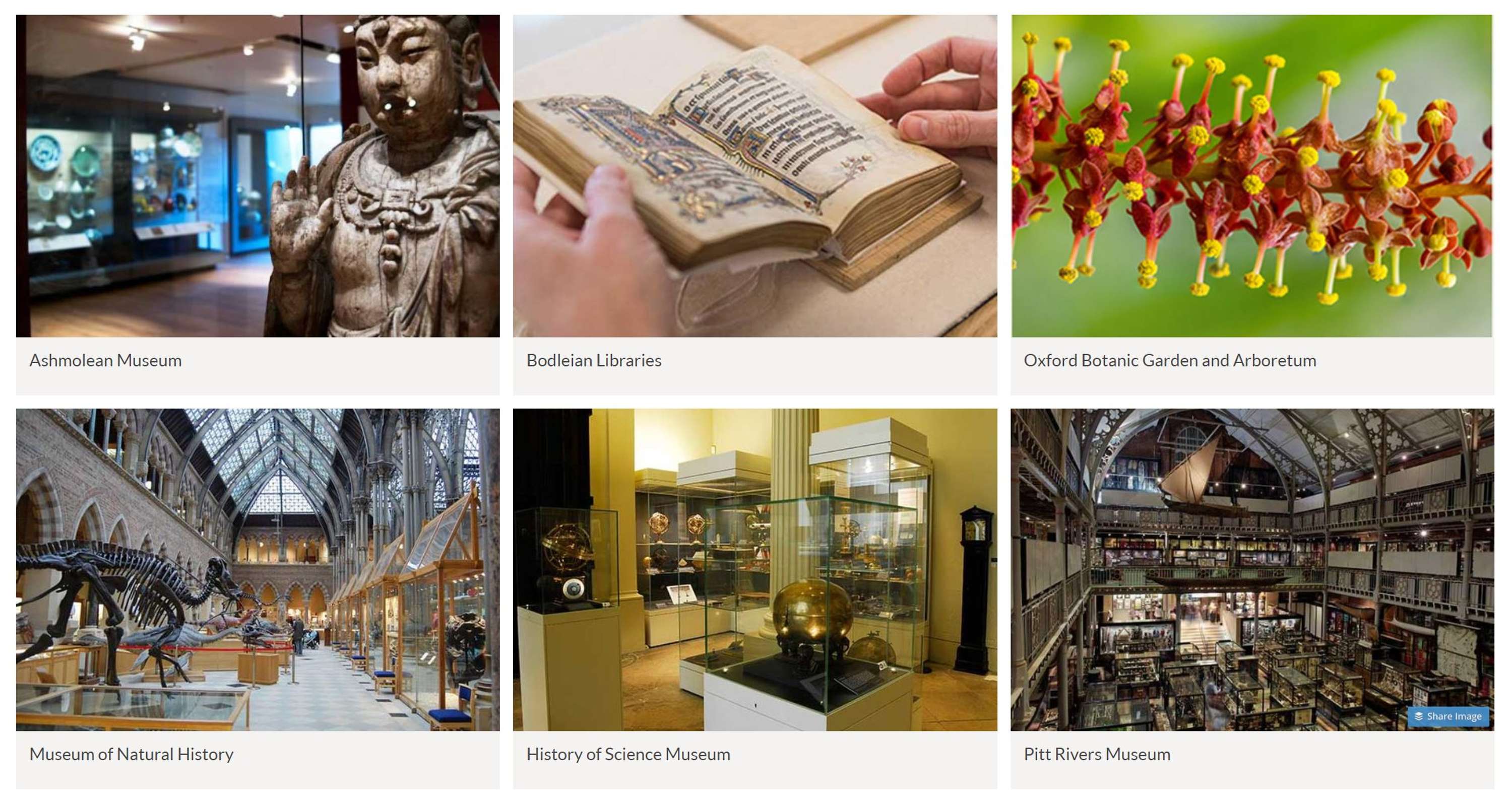 GLAM Oxford University website redevelopment by Nataša Stuper