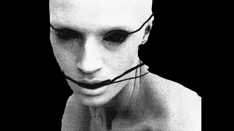 Poppy the android has completed her upgrade: how Poppy the android established herself as an autonomous individual in I Disagree (More) by Anna Cash Davidson