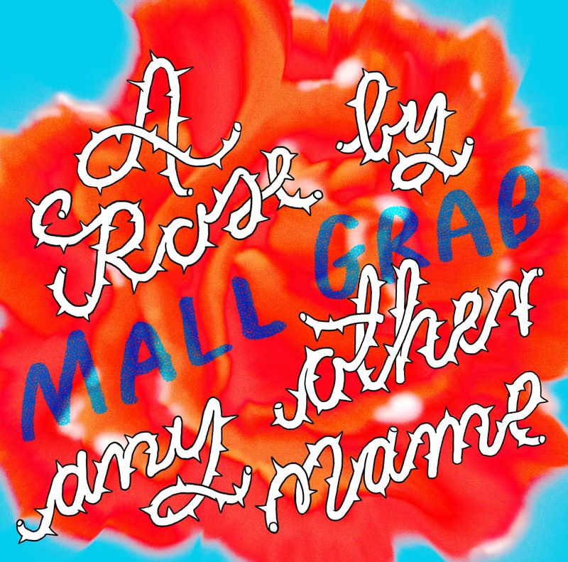 Mall Grab - A Rose by Any Other Name by Anže Pintar