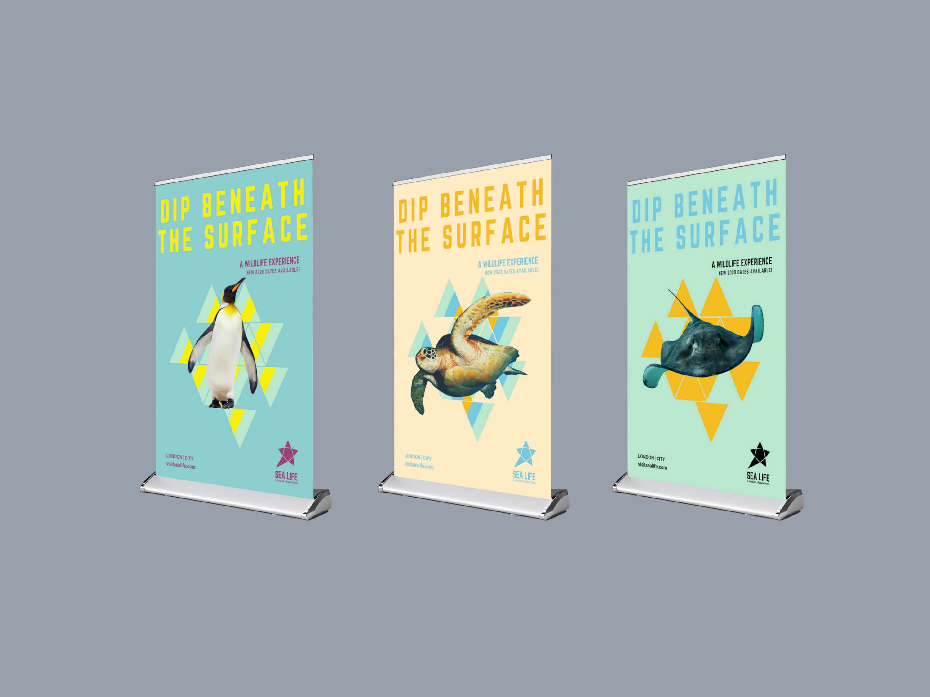 Sea Life Branding Refresh by Britney Piggott