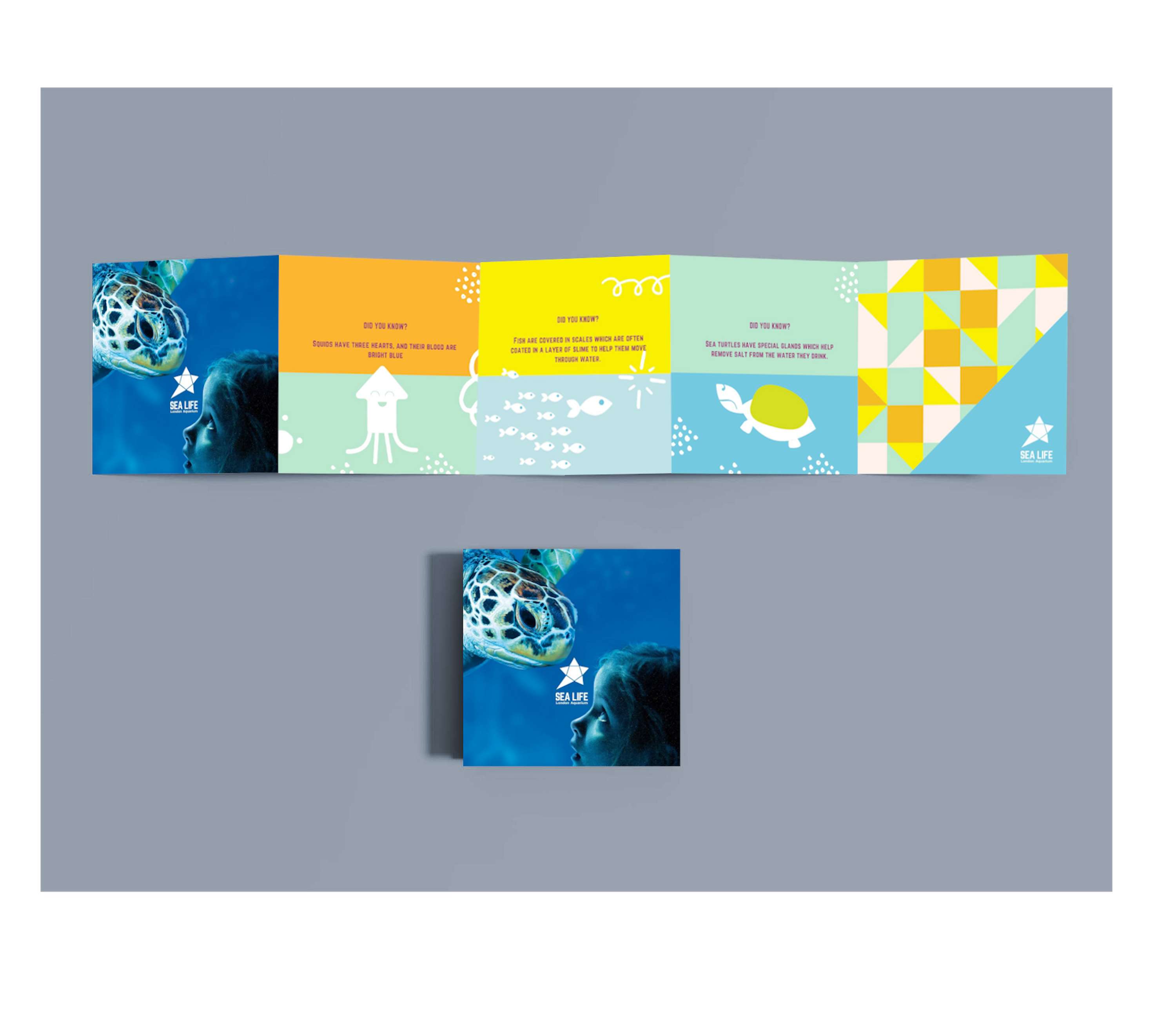 Sea Life Branding Refresh by Britney Piggott
