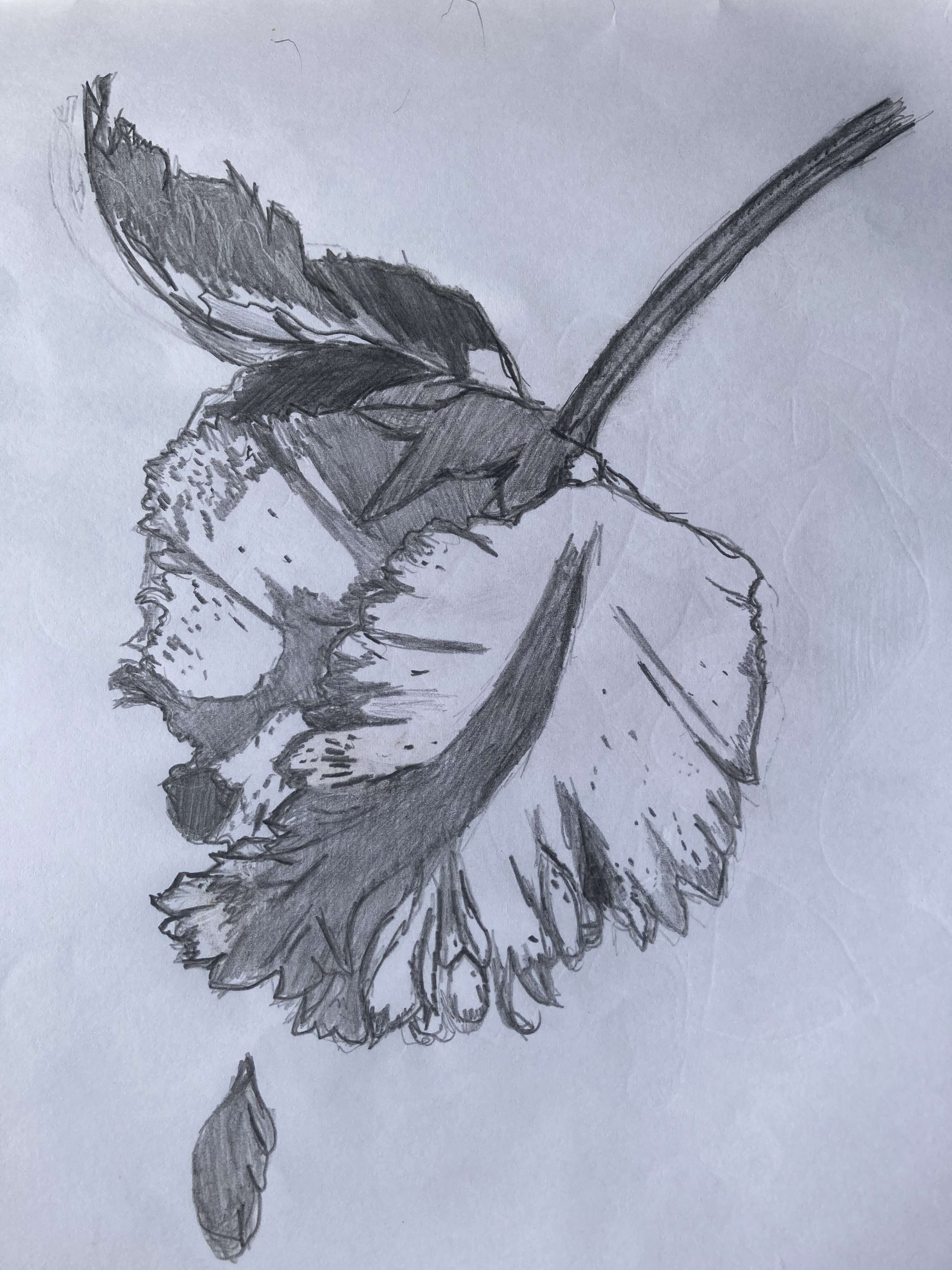 My artwork by Avi Bains