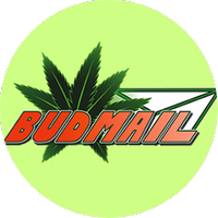 Budmail logo