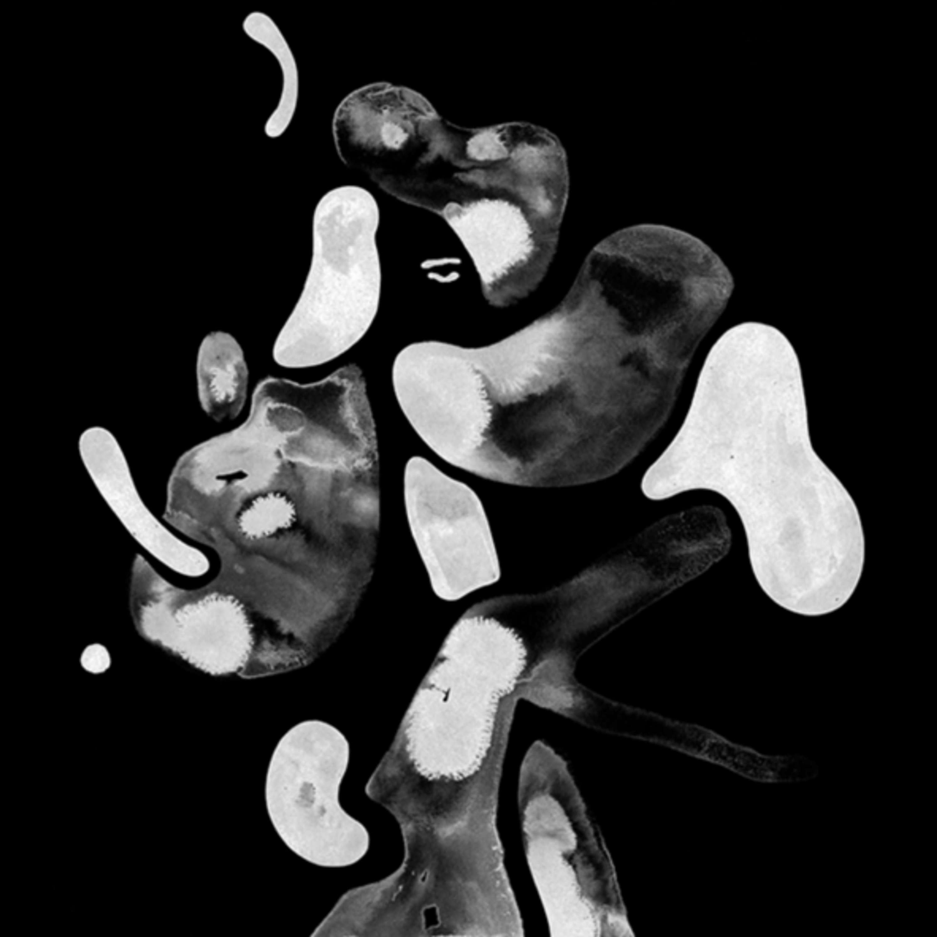 Wiip Curated Showcase - Belmin Pilevneli by Laura Richardson