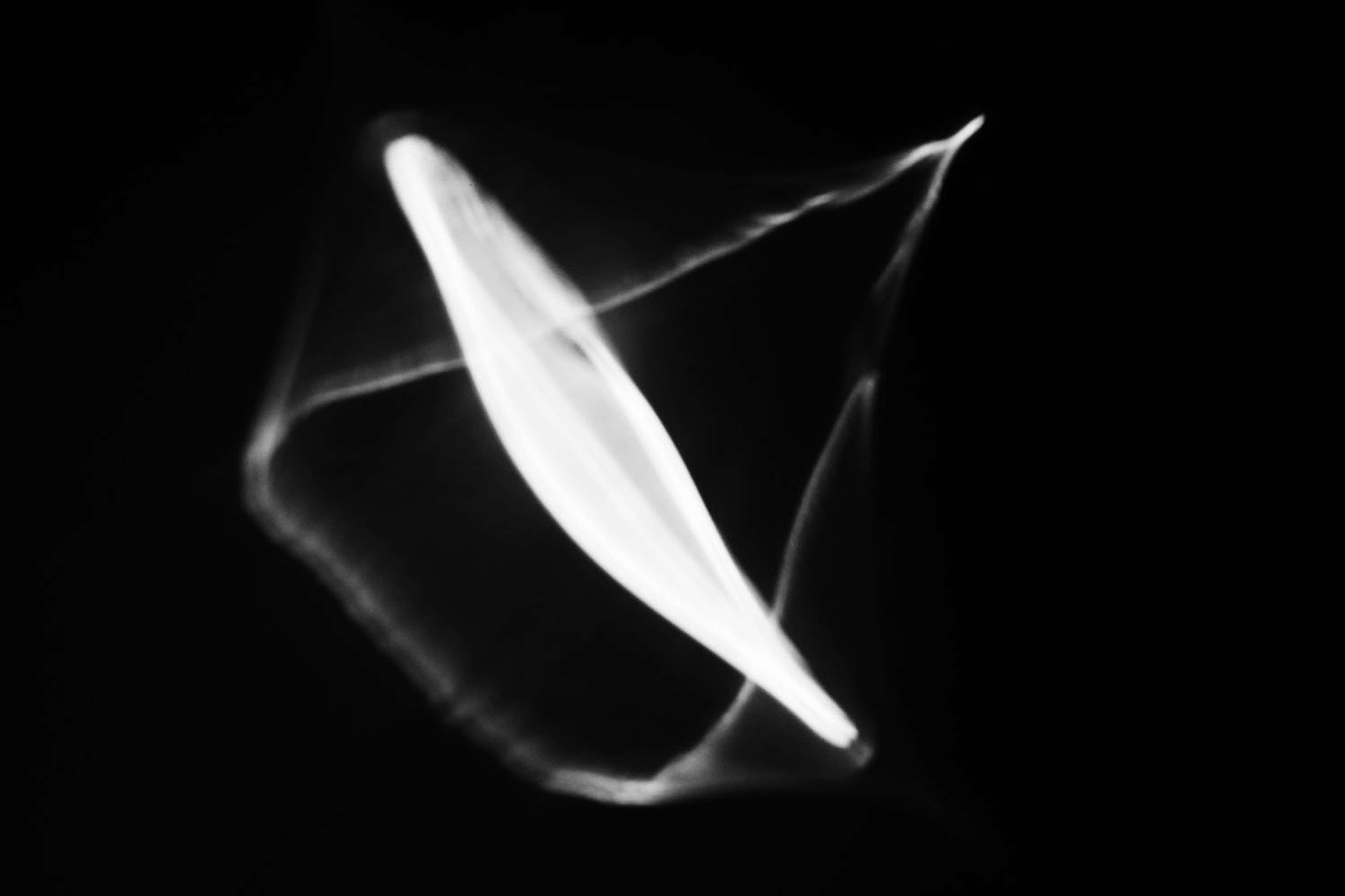 Art Direction - Light Design by Ava Watson