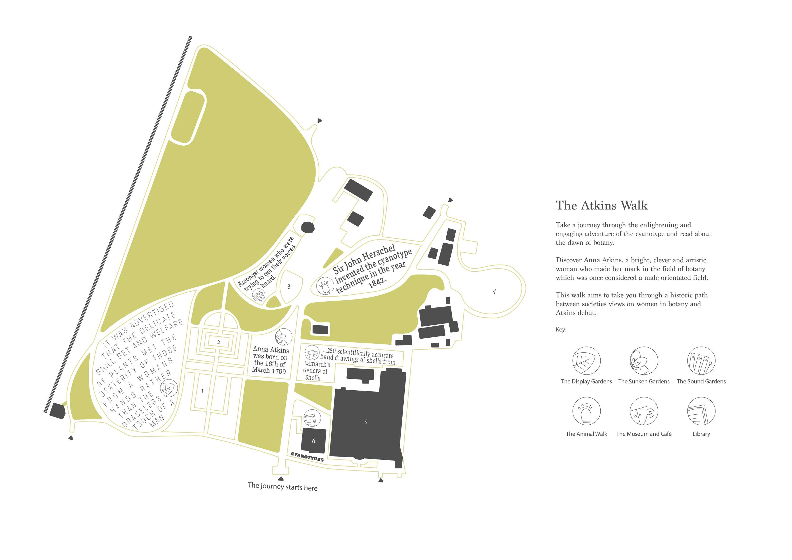 The Atkins Walk by Harpreet Ahadi