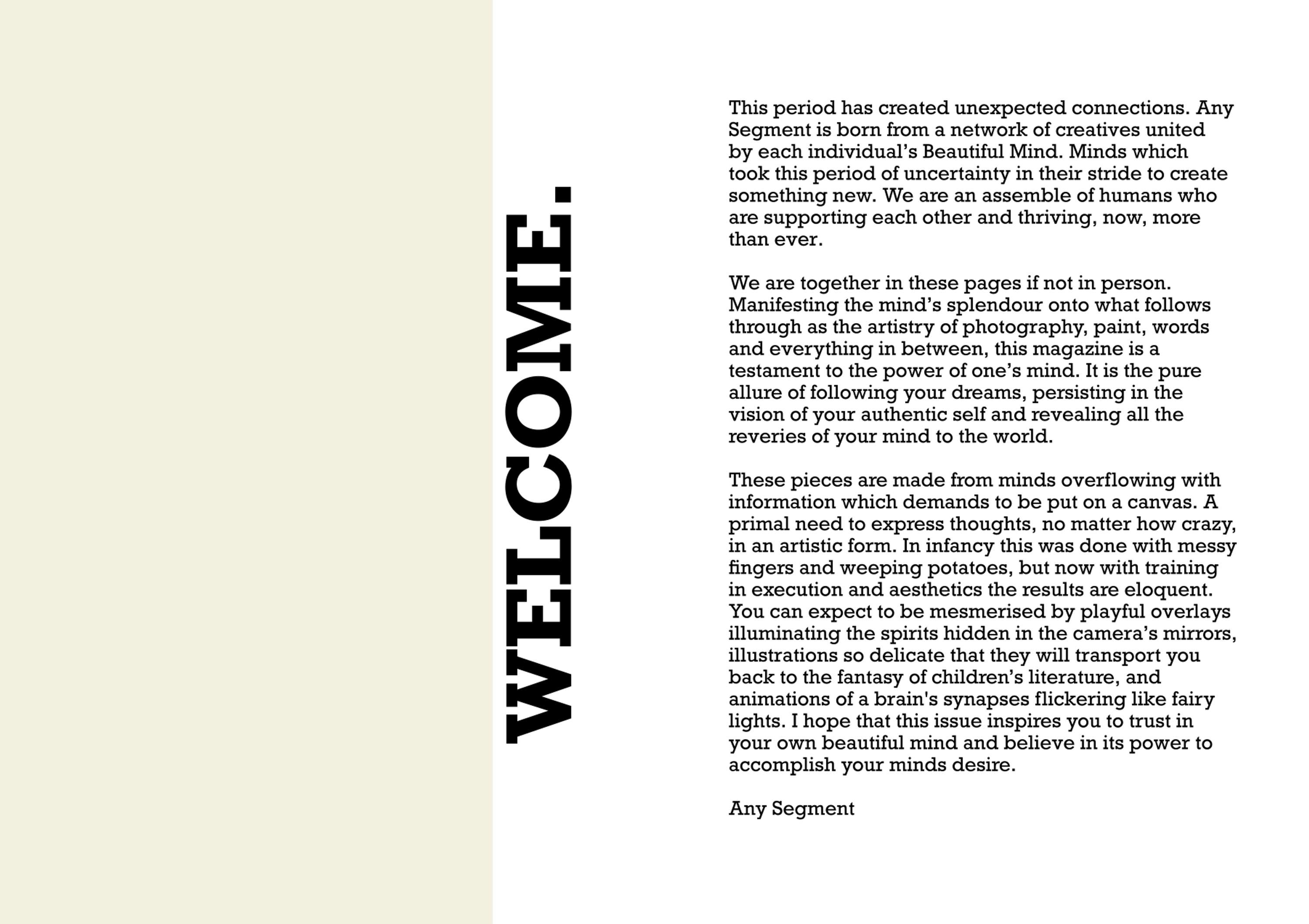 any segment magazine issue 01 preview by any segment