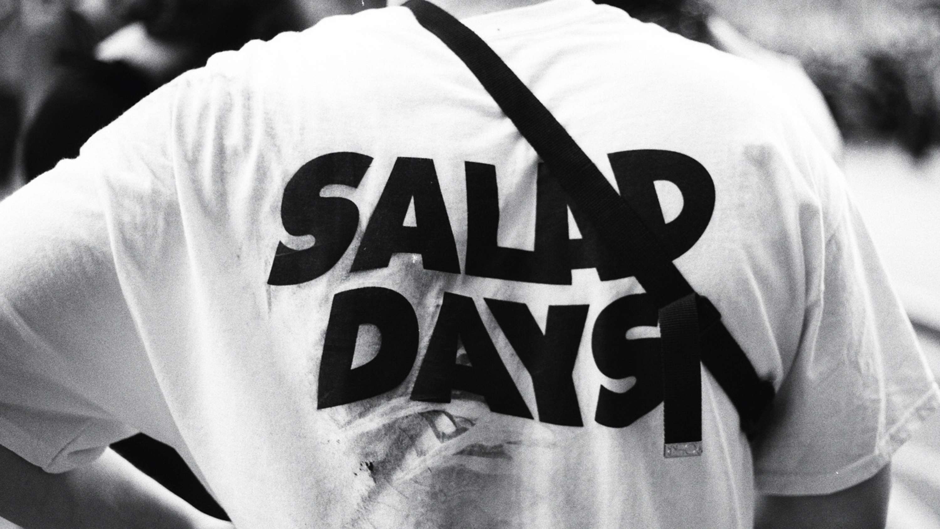 Salad Days by Luke Wright