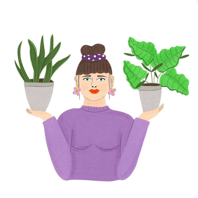 Spot illustration 'A guide on being a beginner plant parent' by Amy Hart