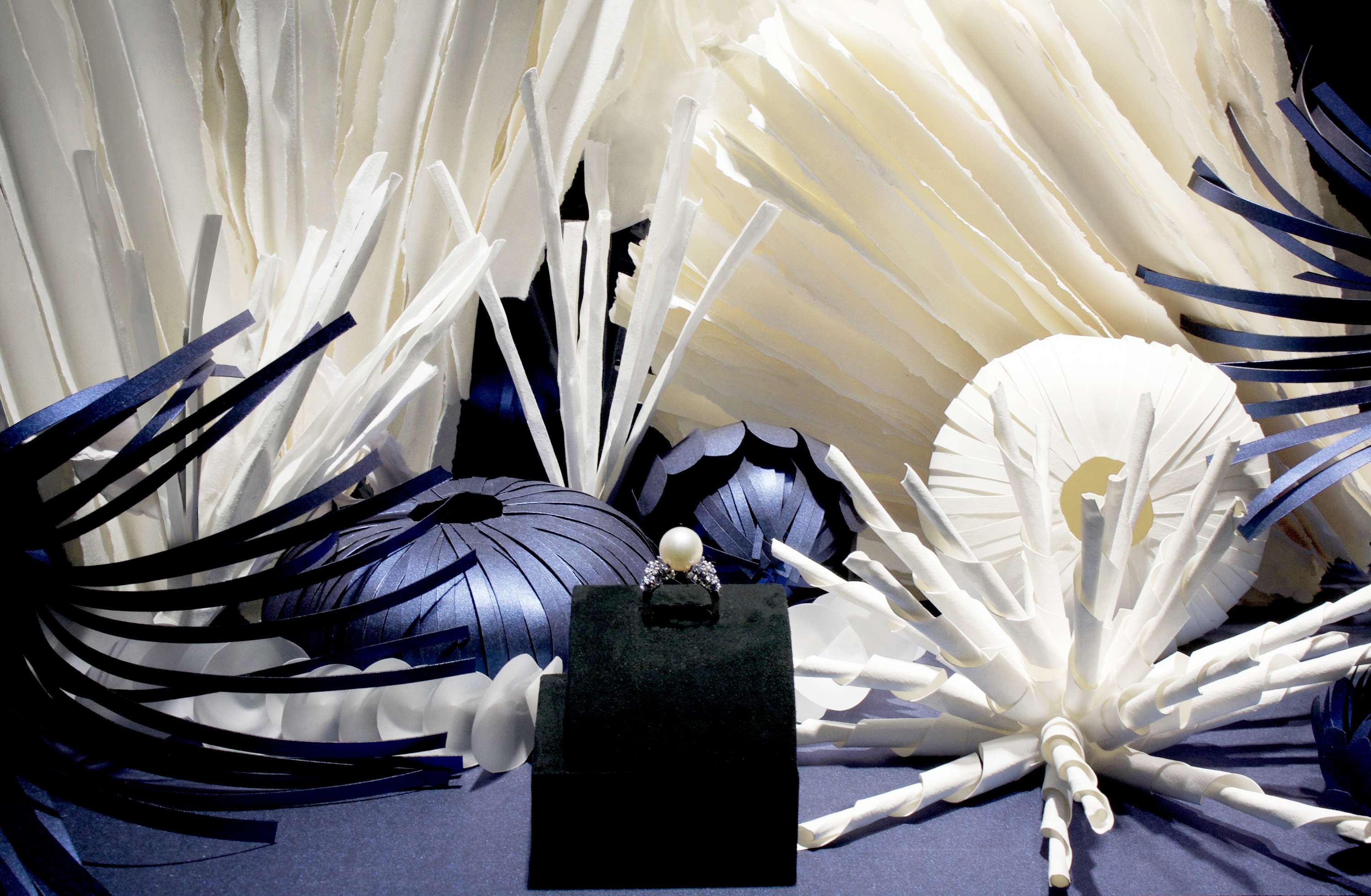 MIKIMOTO WINDOW by amy angold