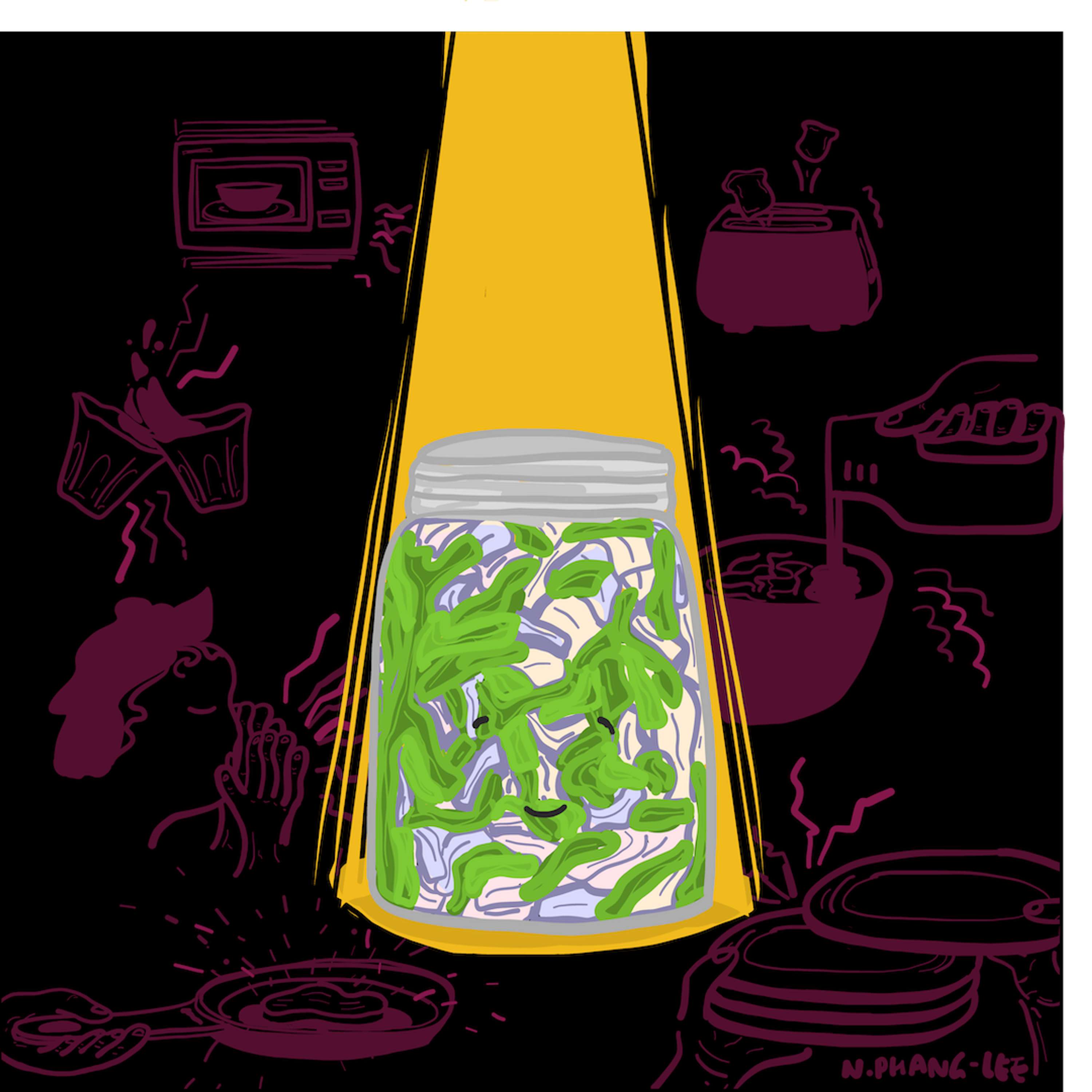 Fermenting Fever by Natasha Phang-Lee