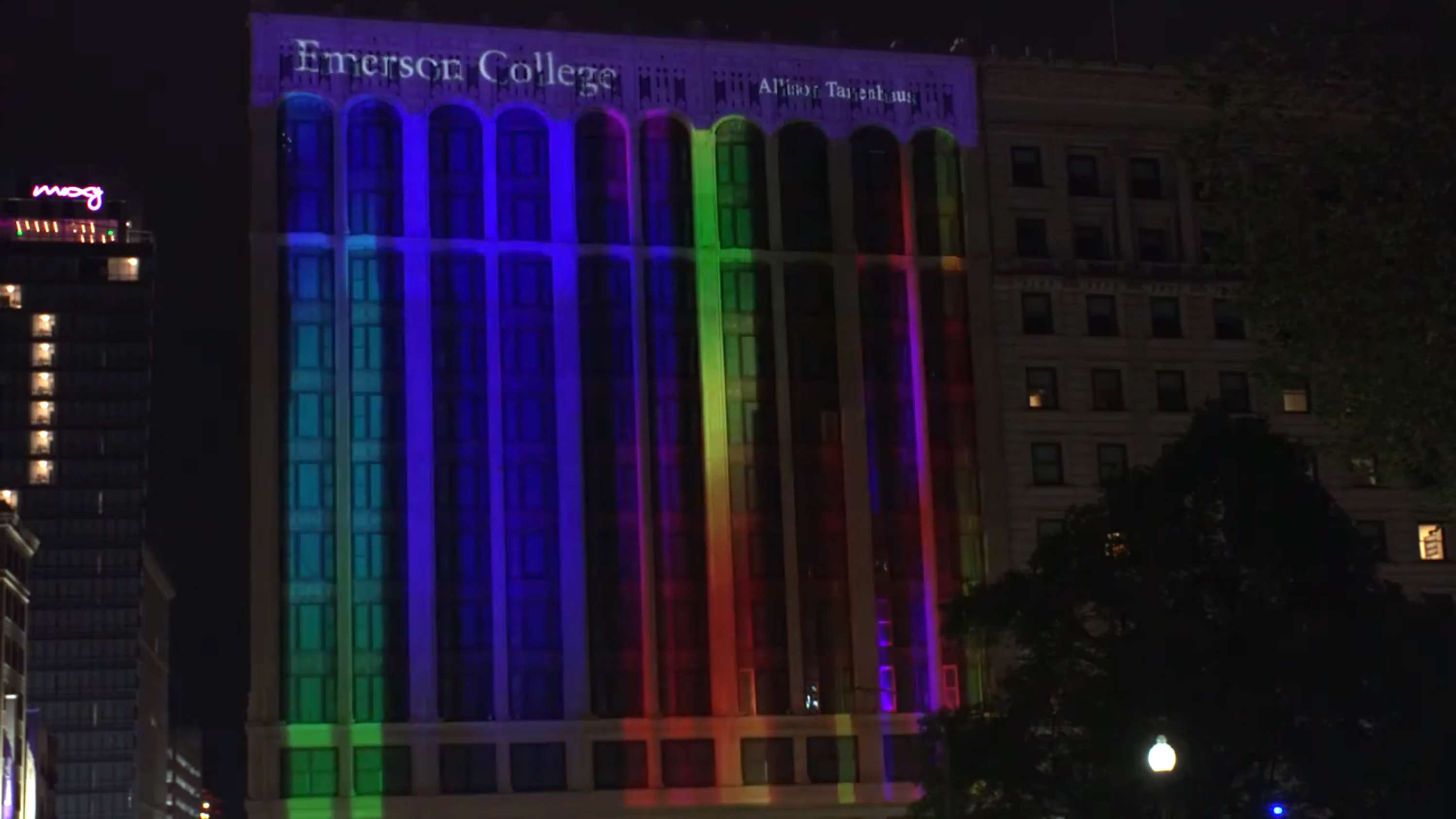 Emerson Virtual Commencement by Allison Tanenhaus