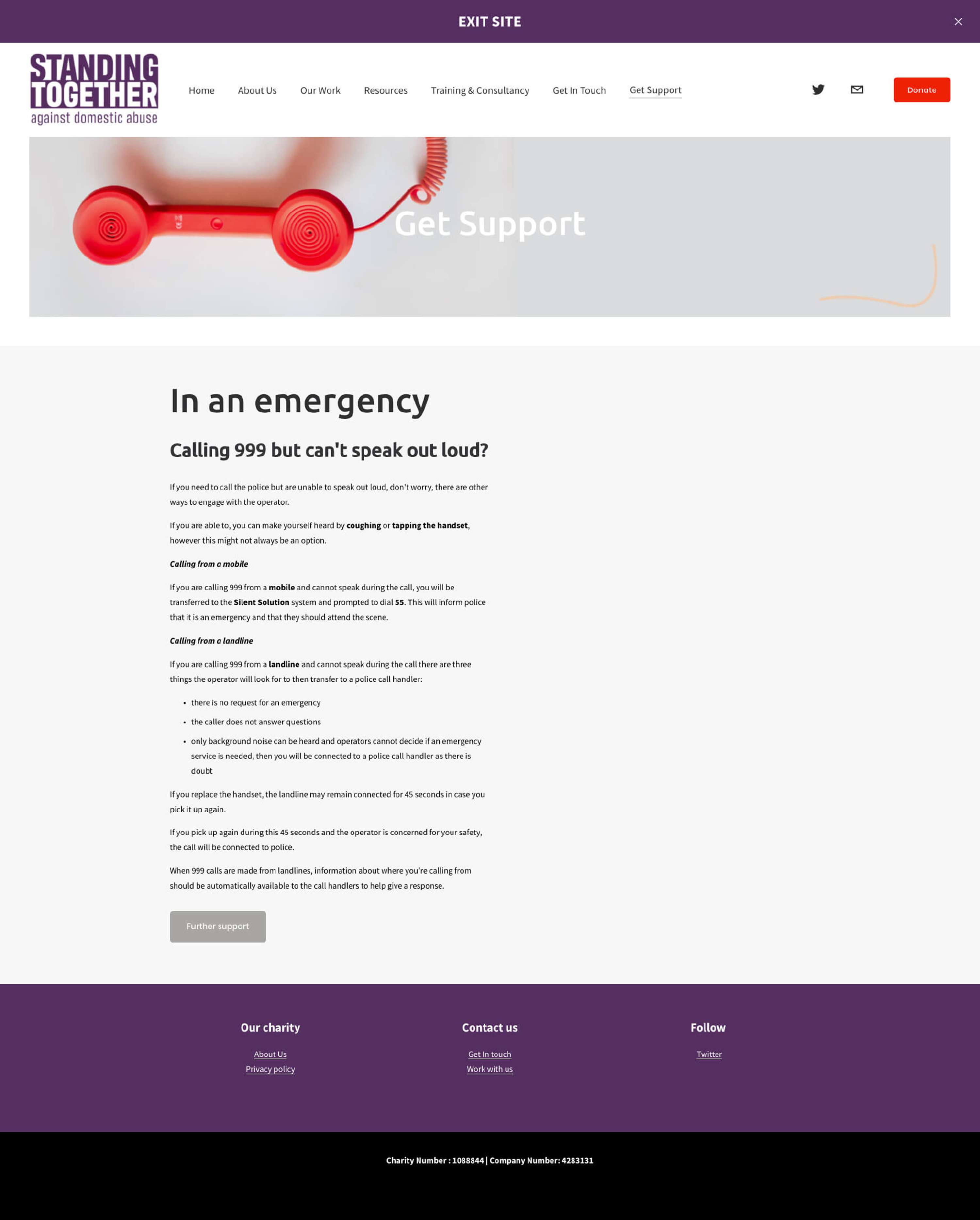 Standing Together website re-design by Millie Mensah
