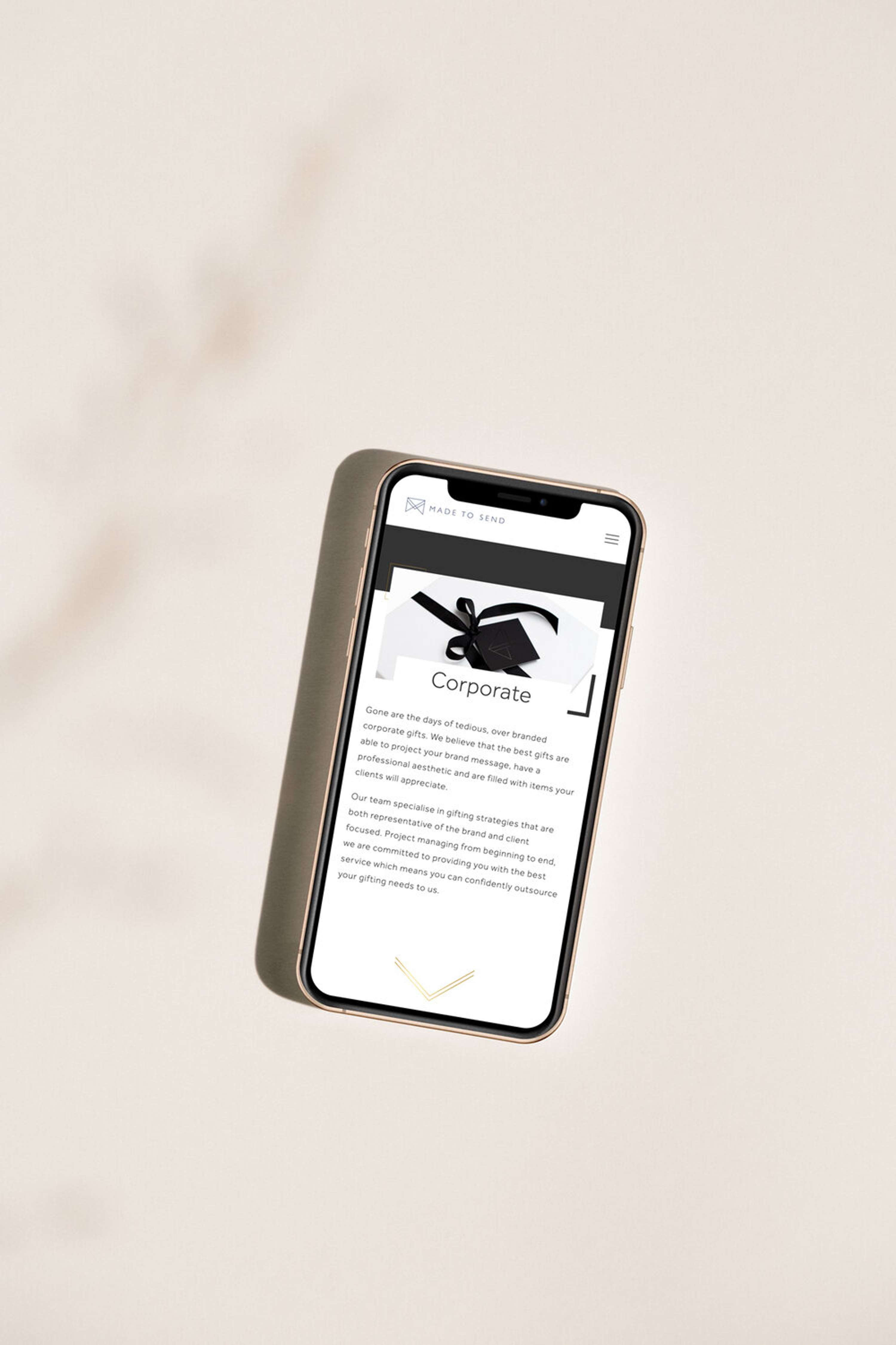 Made To Send - Branding bootcamp, packaging, presentation design and Squarespace website design and build by Ruby Ellis